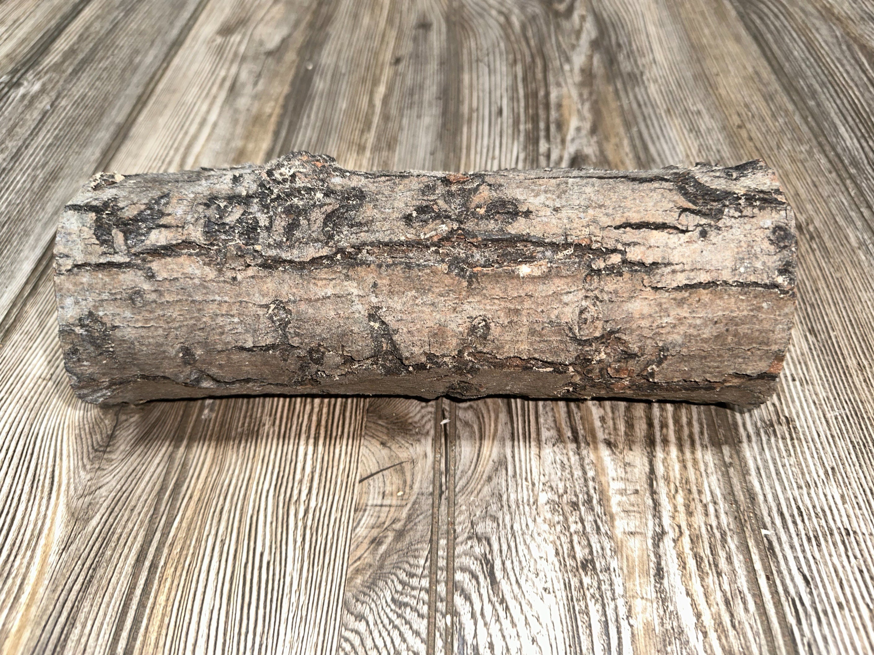 Unique Log, Distinctive Tree Branch, Approximately 9 Inches Long by 4 Inches Wide and 3 Inches Thick