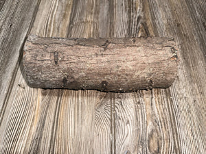 Unique Log, Distinctive Tree Branch, Approximately 9 Inches Long by 4 Inches Wide and 3 Inches Thick