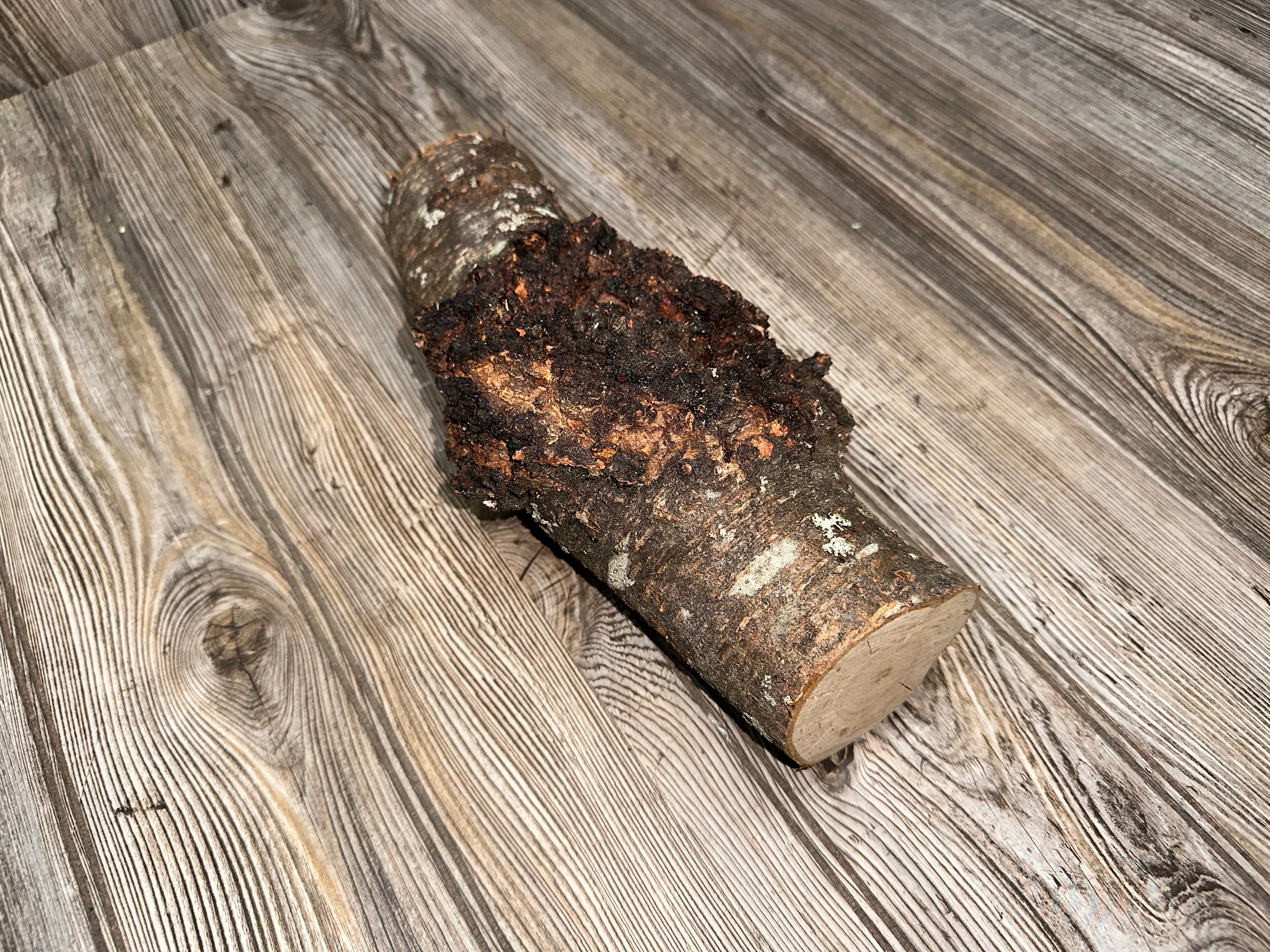 Burl, Cherry Burl Log, About 11 Inches Long x 5 Inches Wide x 3.5 Inches Thick