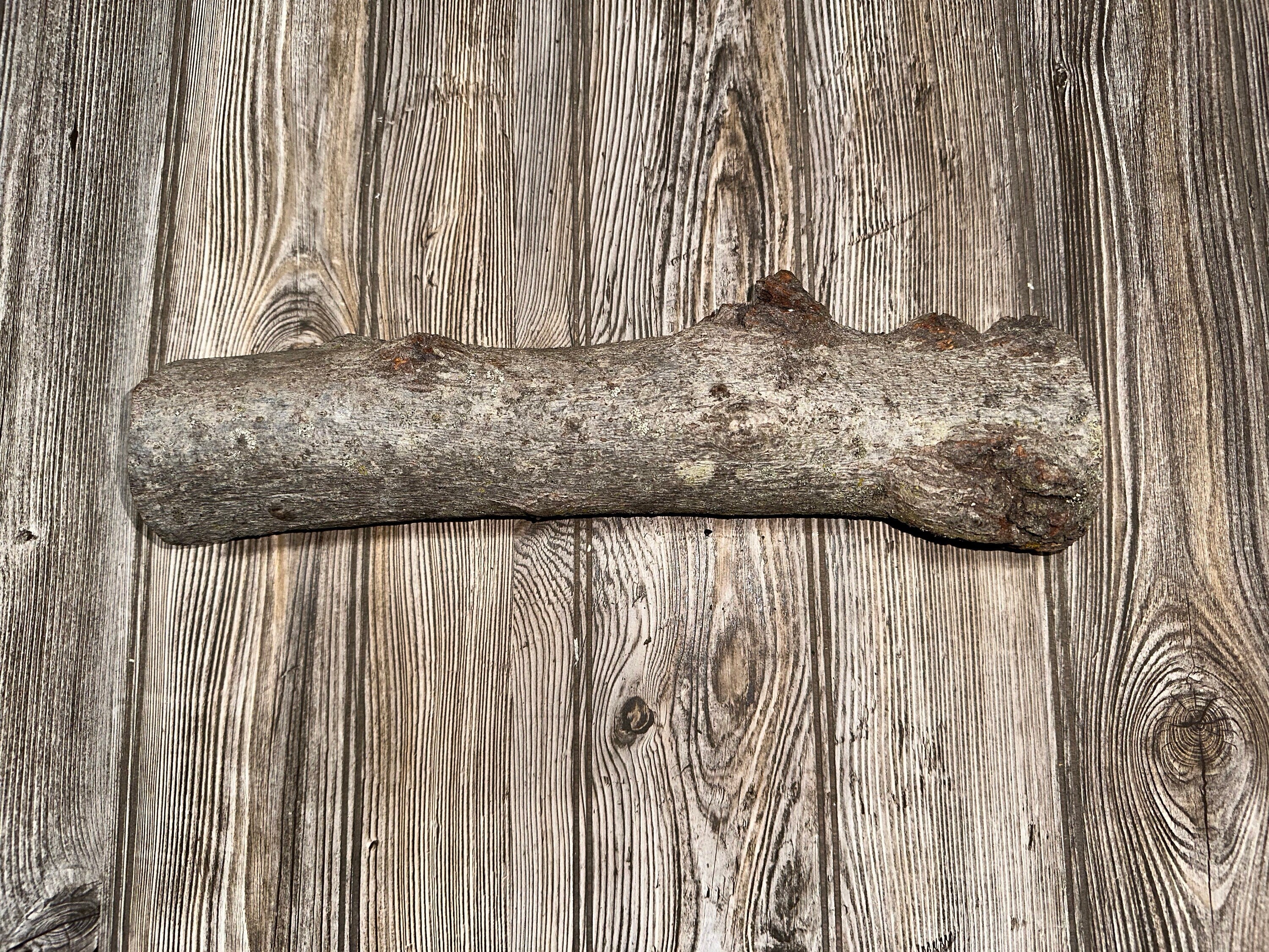 Aspen Burl Log, Approximately 14.5 Inches Long by 3 Inches Diameter
