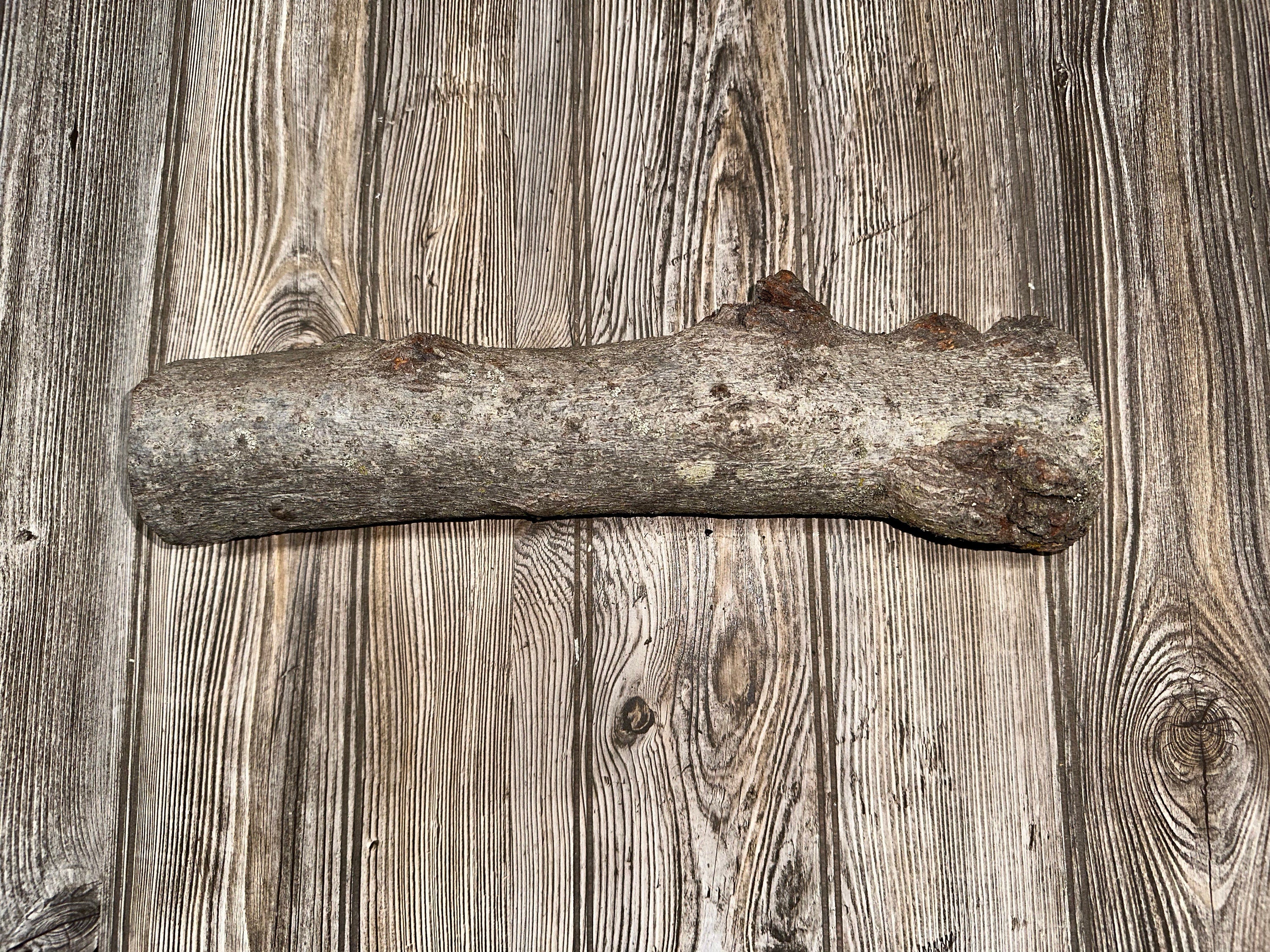 Aspen Burl Log, Approximately 14.5 Inches Long by 3 Inches Diameter