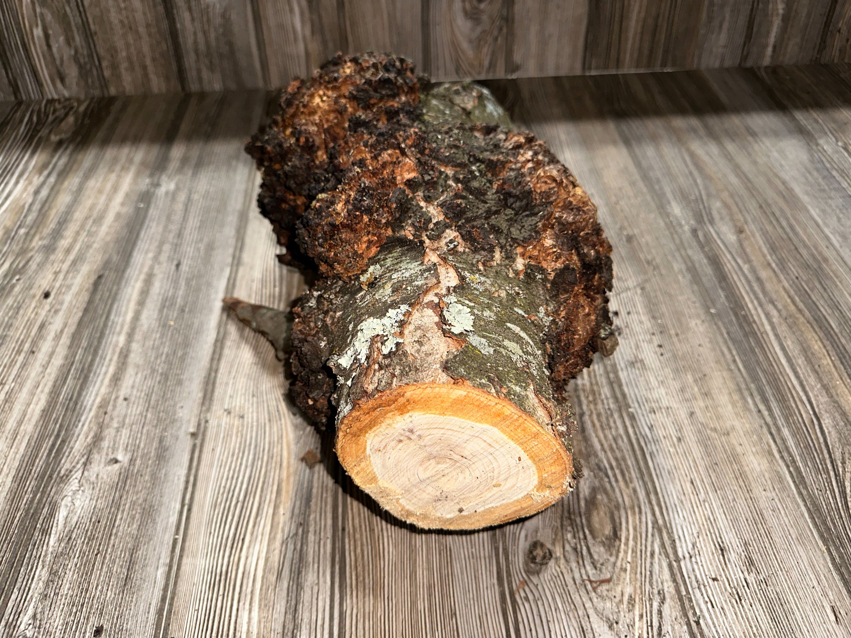 Burl, Cherry Burl Log, Approximately 16.5 Inches Long by 11 Inches Wide and 8.5 Inches Tall