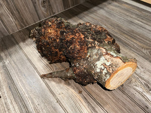 Burl, Cherry Burl Log, Approximately 16.5 Inches Long by 11 Inches Wide and 8.5 Inches Tall