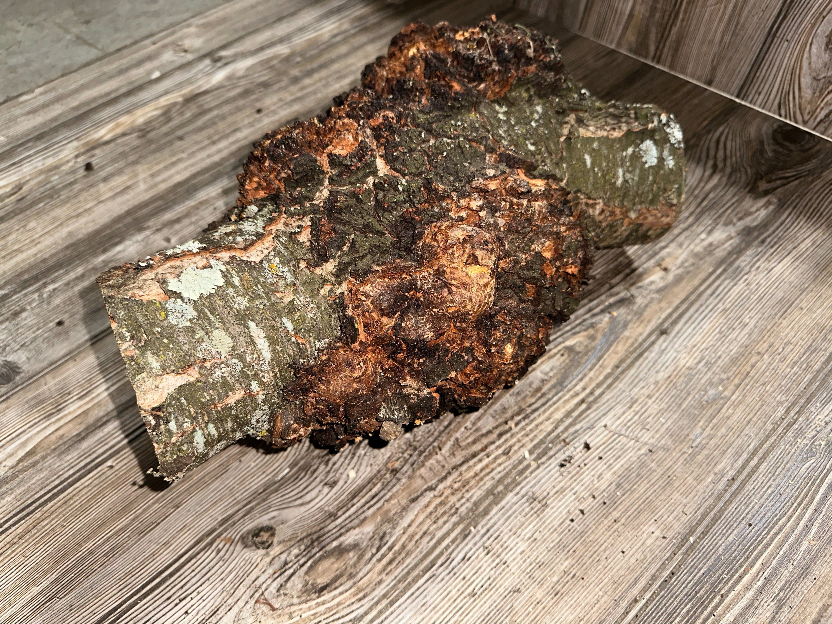 Burl, Cherry Burl Log, Approximately 16.5 Inches Long by 11 Inches Wide and 8.5 Inches Tall