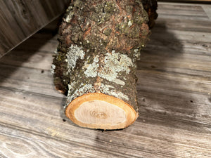 Burl, Cherry Burl Log, Approximately 26 Inches Long by 8 Inches Wide and 8 Inches Tall