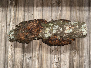 Burl, Cherry Burl Log, Approximately 26 Inches Long by 8 Inches Wide and 8 Inches Tall