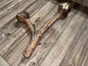 Pine Burl Log, Approximately 21 Inches Long by 13 Inches Wide and 7 Inches High