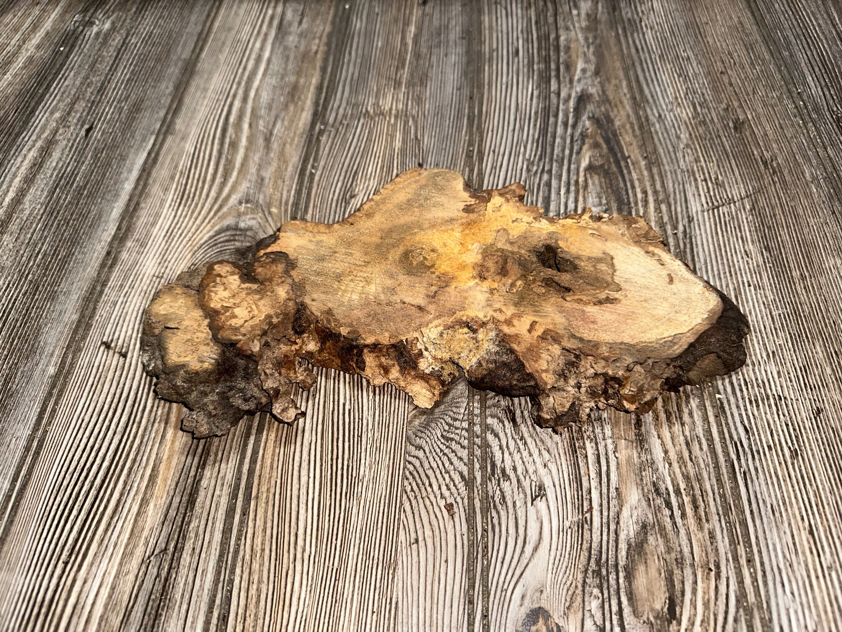 Hickory Burl Slice, Approximately 11.5 Inches Long by 5 Inches Wide and 3/4 Inch Thick