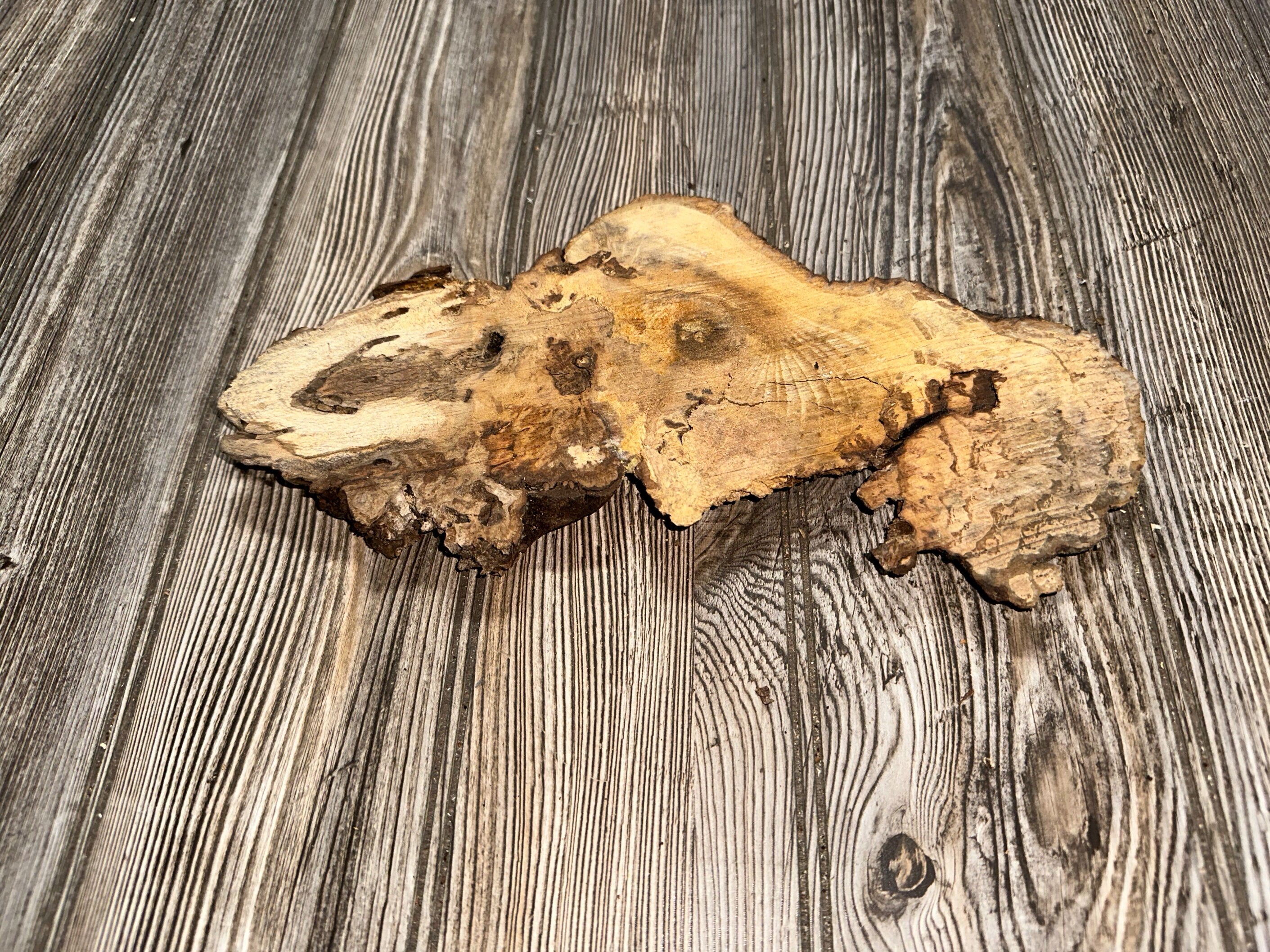 Hickory Burl Slice, Approximately 11.5 Inches Long by 5 Inches Wide and 3/4 Inch Thick