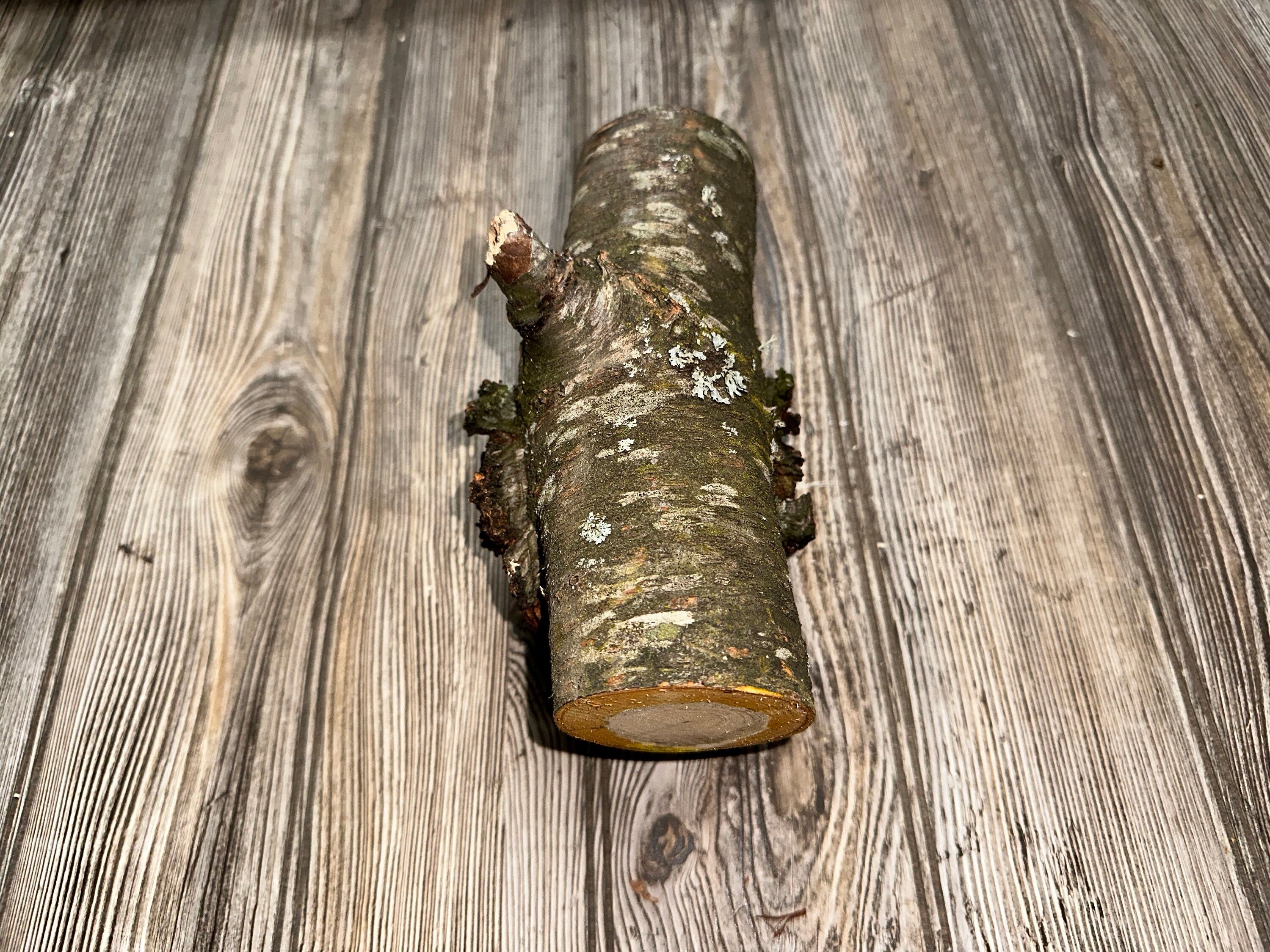 Burl, Cherry Burl Log, Approximately 8 Inches Long by 4 Inches Wide and 2.5 Inches Tall