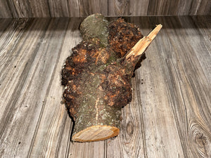 Burl, Cherry Burl Log, Approximately 16.5 Inches Long by 11 Inches Wide and 8.5 Inches Tall