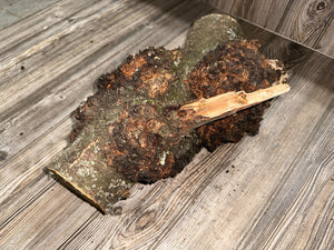 Burl, Cherry Burl Log, Approximately 16.5 Inches Long by 11 Inches Wide and 8.5 Inches Tall