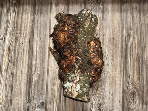 Burl, Cherry Burl Log, Approximately 16.5 Inches Long by 11 Inches Wide and 8.5 Inches Tall