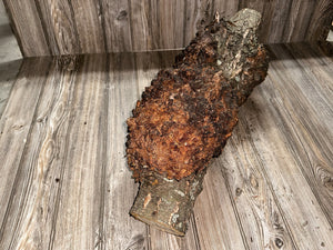 Burl, Cherry Burl Log, Approximately 26 Inches Long by 8 Inches Wide and 8 Inches Tall