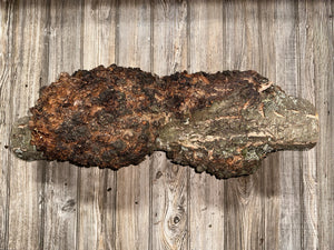 Burl, Cherry Burl Log, Approximately 26 Inches Long by 8 Inches Wide and 8 Inches Tall