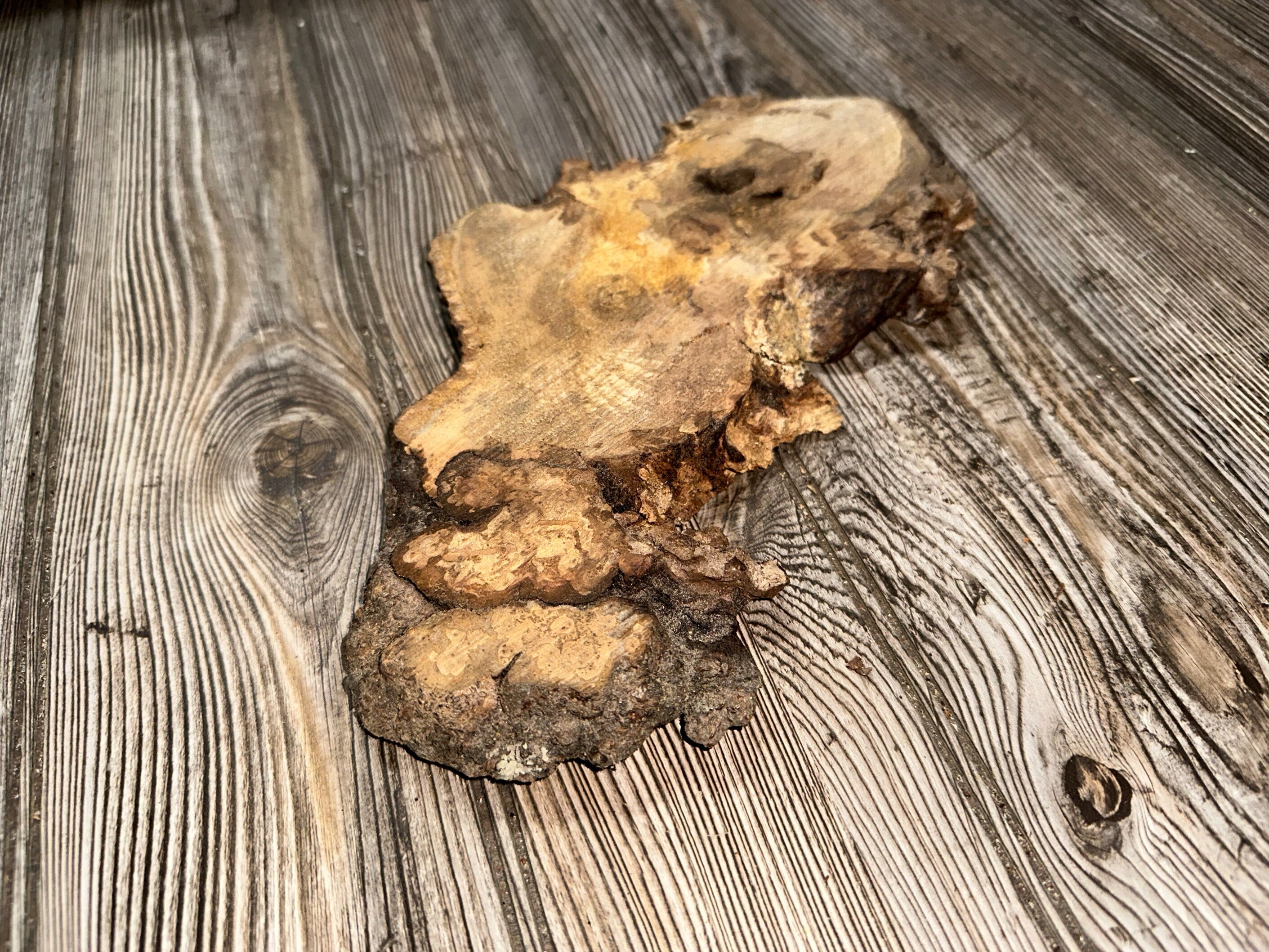 Hickory Burl Slice, Approximately 11.5 Inches Long by 5 Inches Wide and 3/4 Inch Thick