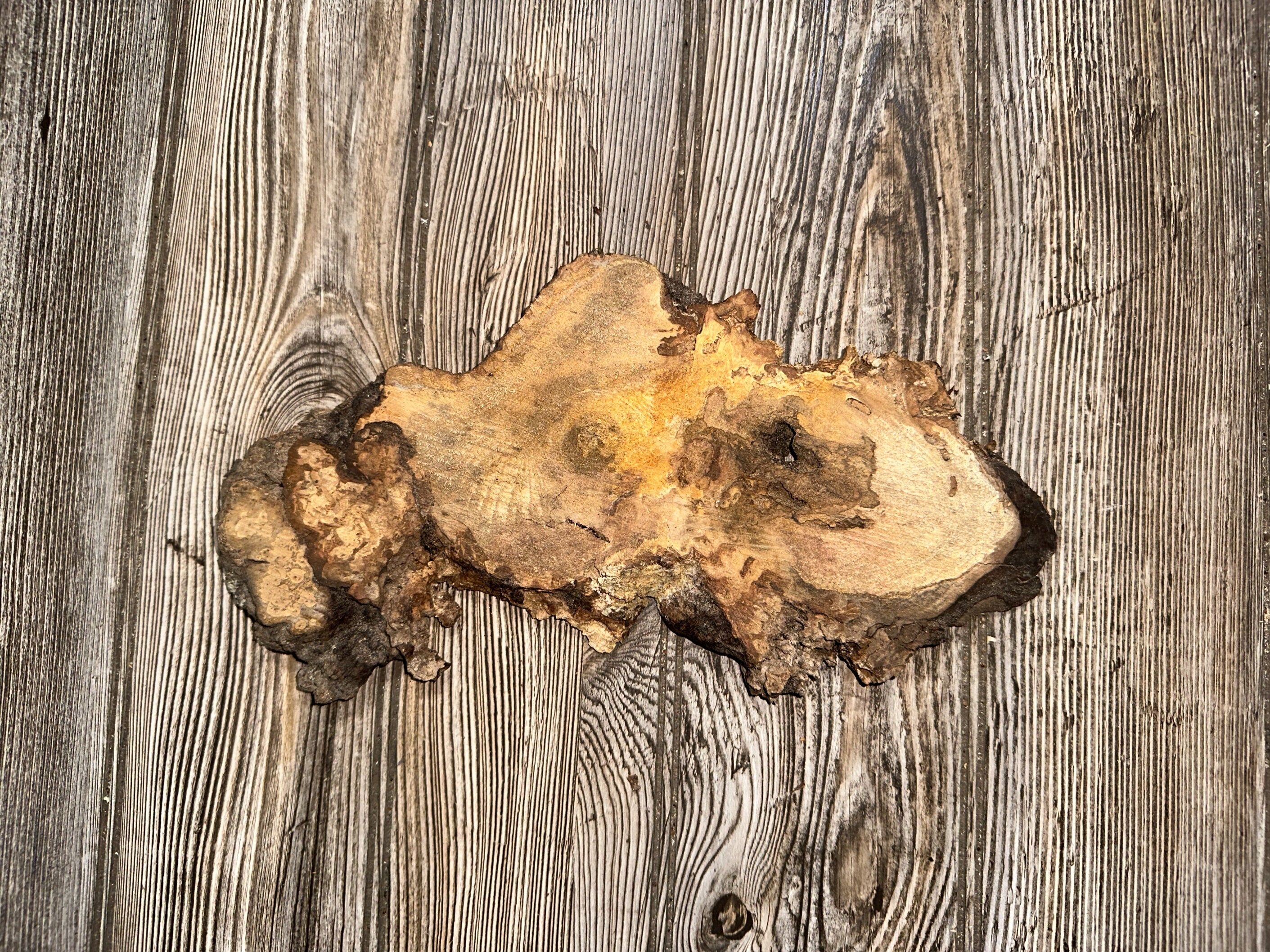 Hickory Burl Slice, Approximately 11.5 Inches Long by 5 Inches Wide and 3/4 Inch Thick