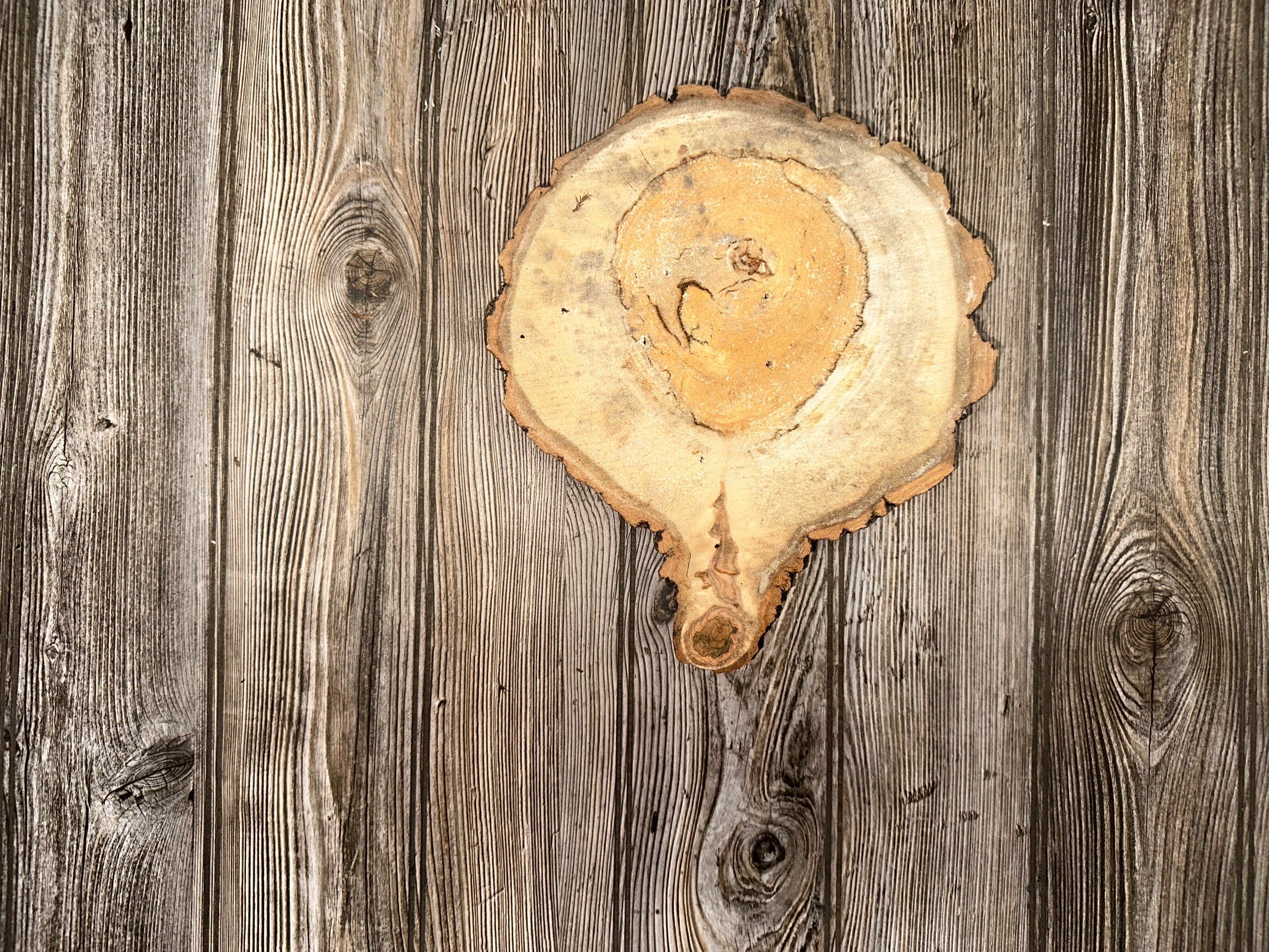 Aspen Burl Slice, Approximately 10 Inches Long by 9 Inches Wide and 2 Inches Thick