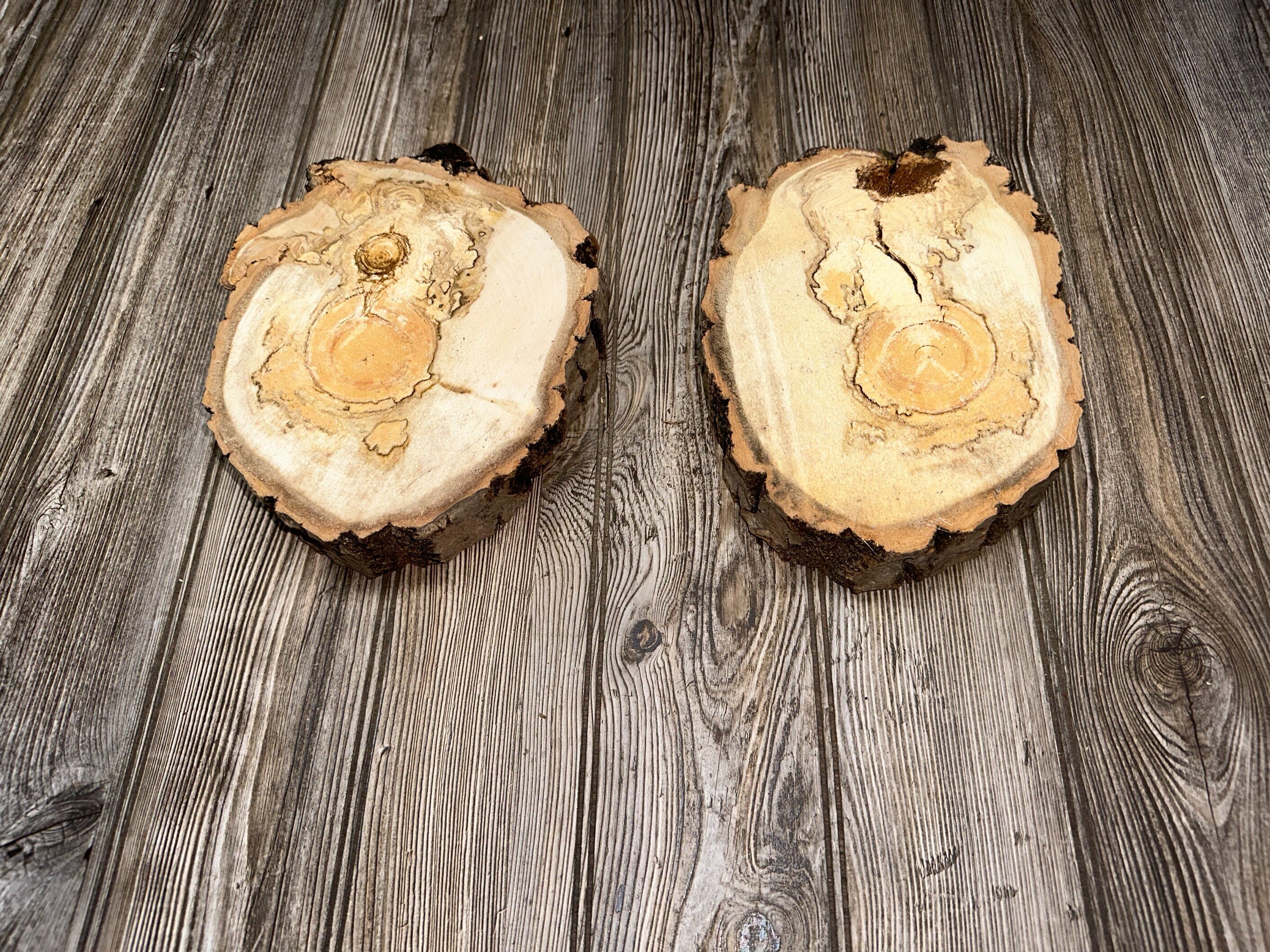 Two Aspen Burl Slices, Approximately 10 Inches Long by 7-7.5 Inches Wide and 2 Inches Thick