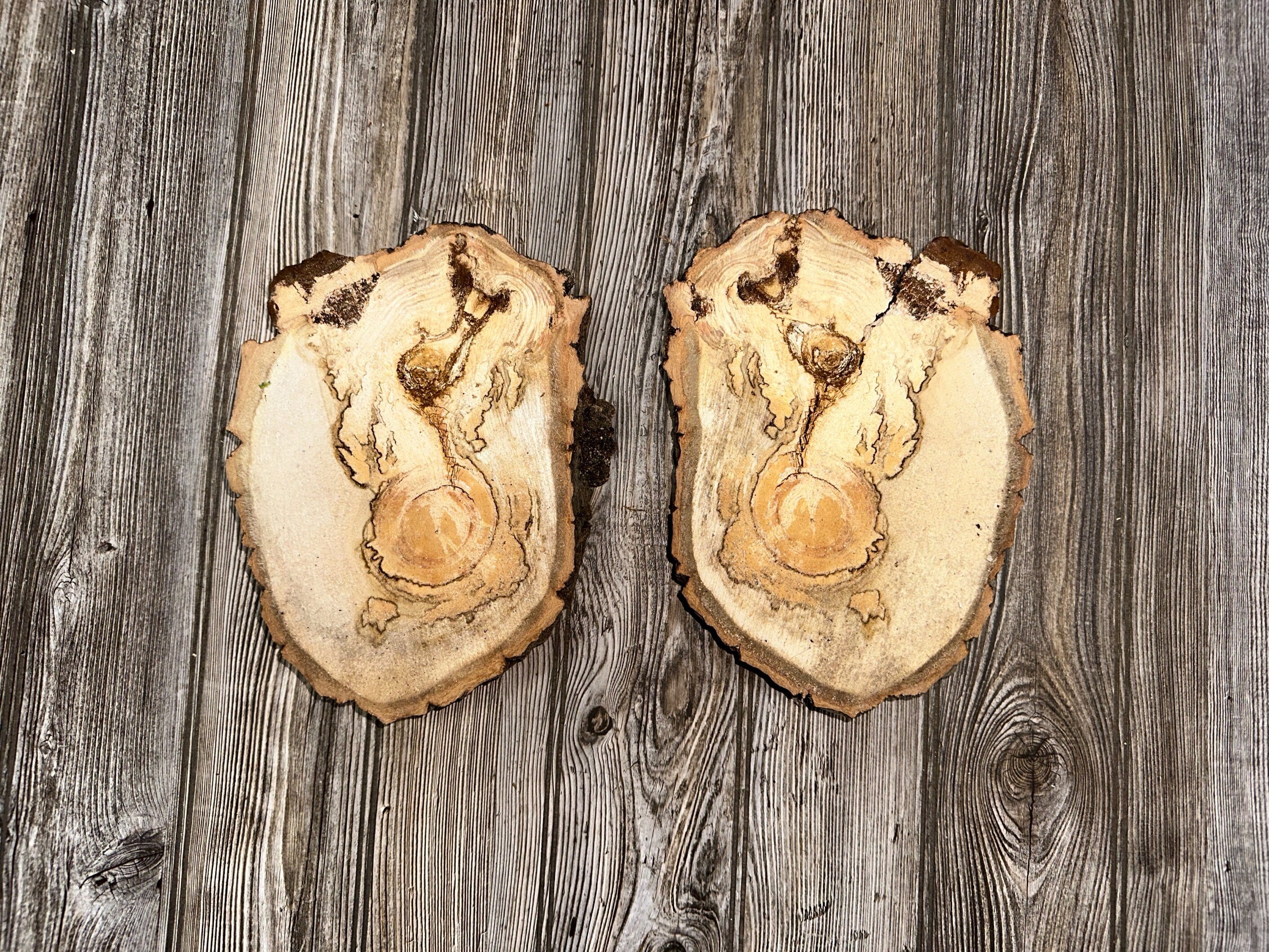 Two Aspen Burl Slices, Approximately 10 Inches Long by 7-7.5 Inches Wide and 2 Inches Thick