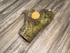 Basswood Log, Three Prongs, One Count, About 10 Inches Long by 6 Inches Wide by 5 Inches High