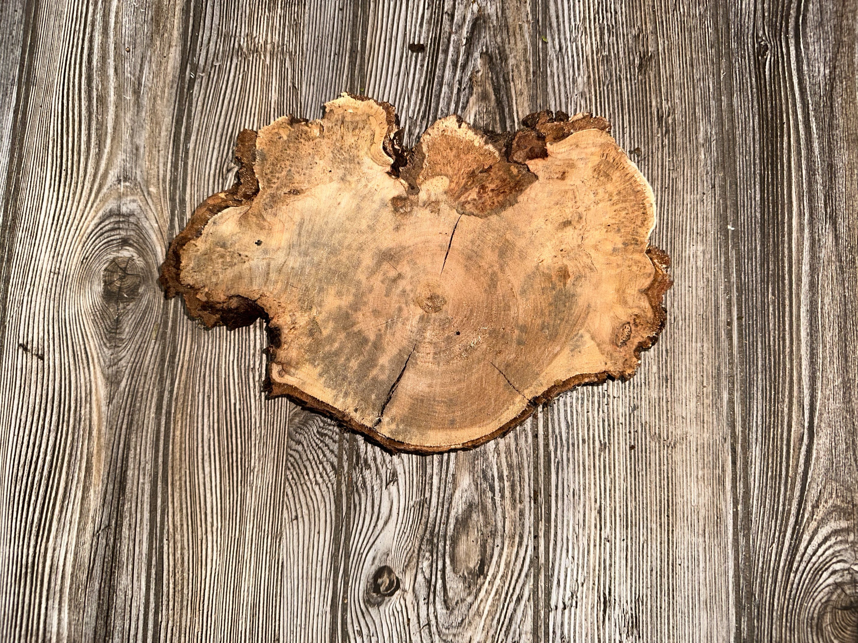 Cherry Burl Slice, Approximately 10 Inches Long by 7 Inches Wide and 1 Inch Thick