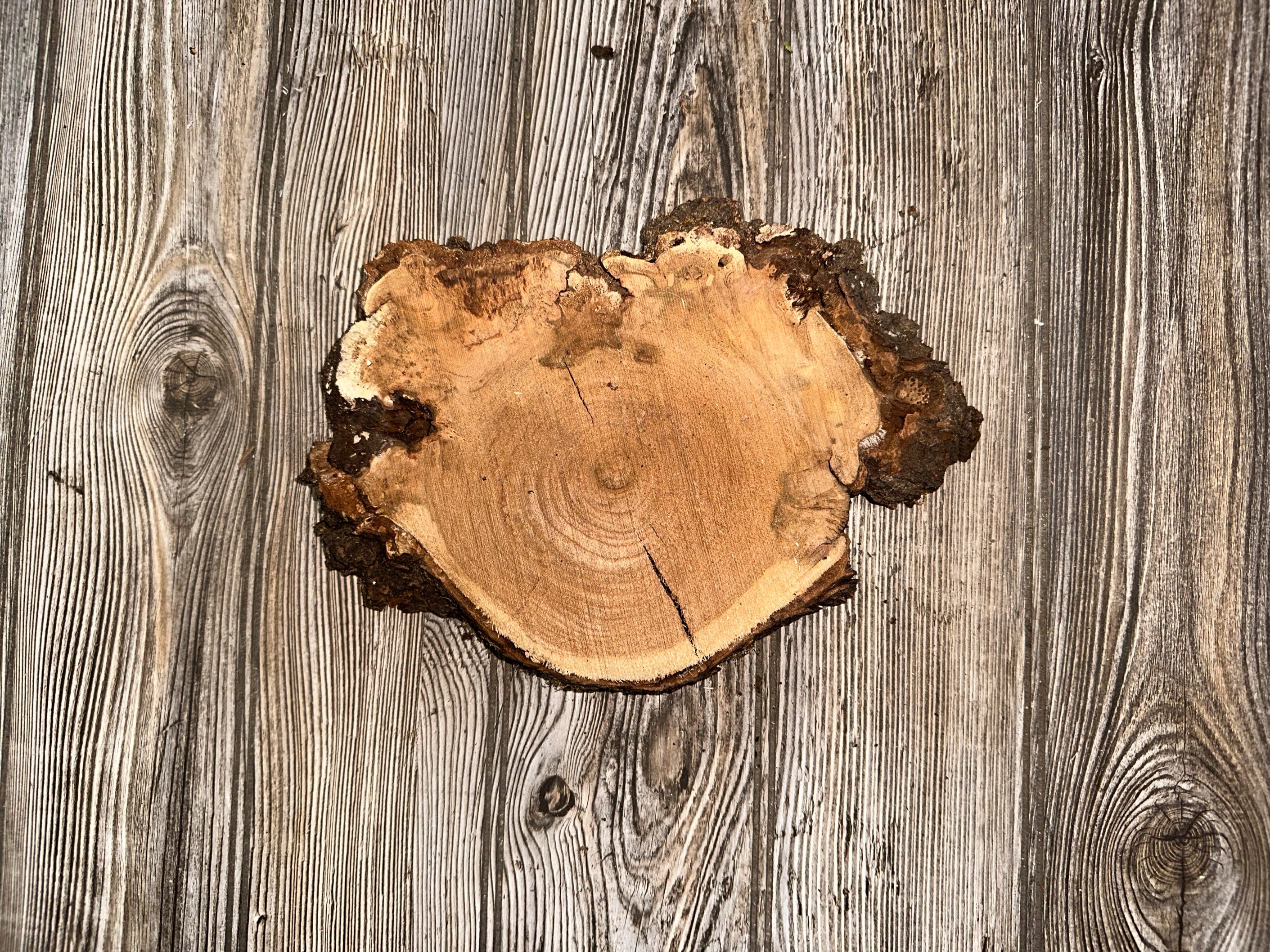 Cherry Burl Slice, Approximately 10 Inches Long by 7 Inches Wide and 1 Inch Thick