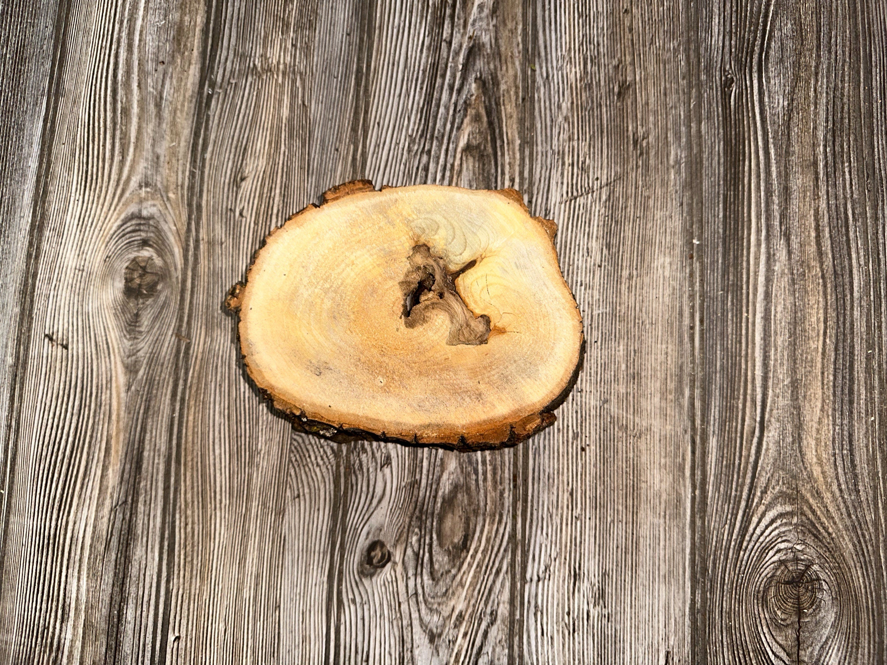 One Aspen Slice, Approximately 7 Inches Long by 5.5 Inches Wide and 2 Inches Thick