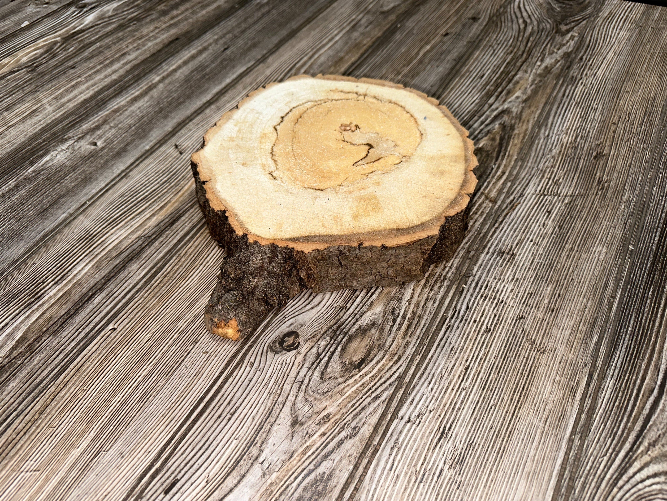 Aspen Burl Slice, Approximately 10 Inches Long by 9 Inches Wide and 2 Inches Thick