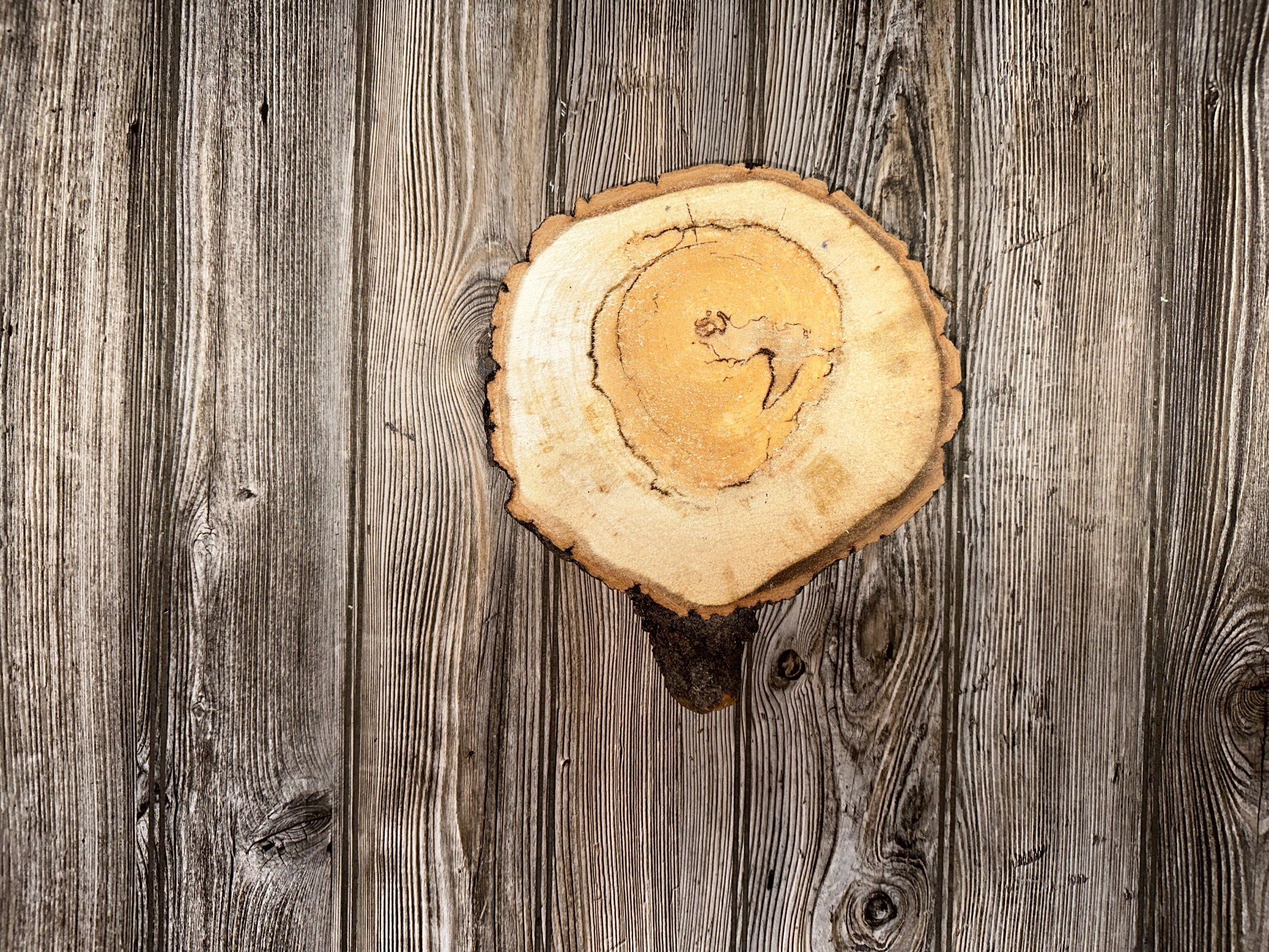 Aspen Burl Slice, Approximately 10 Inches Long by 9 Inches Wide and 2 Inches Thick