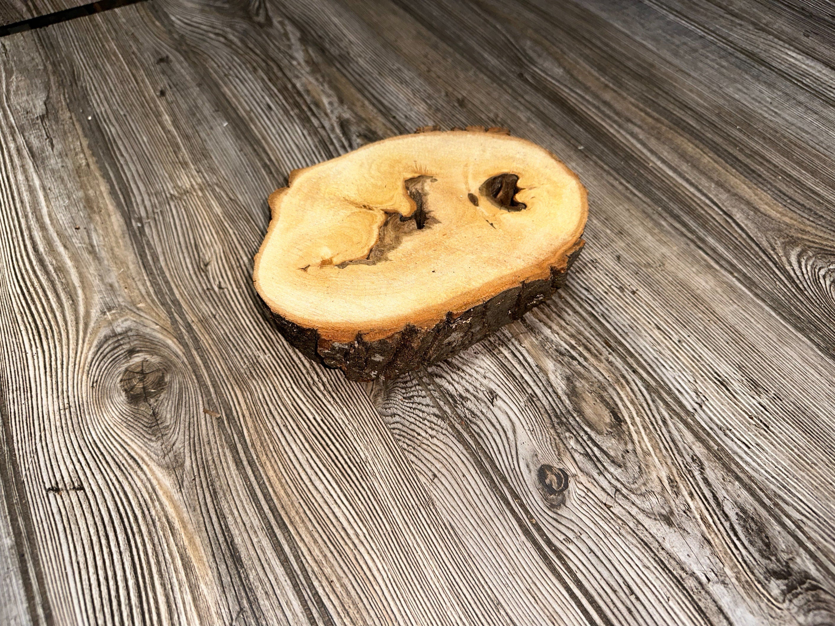 Aspen Slice, Tree Slice, Approximately 7 Inches Long by 5.5 Inches Wide and 2 Inches Thick