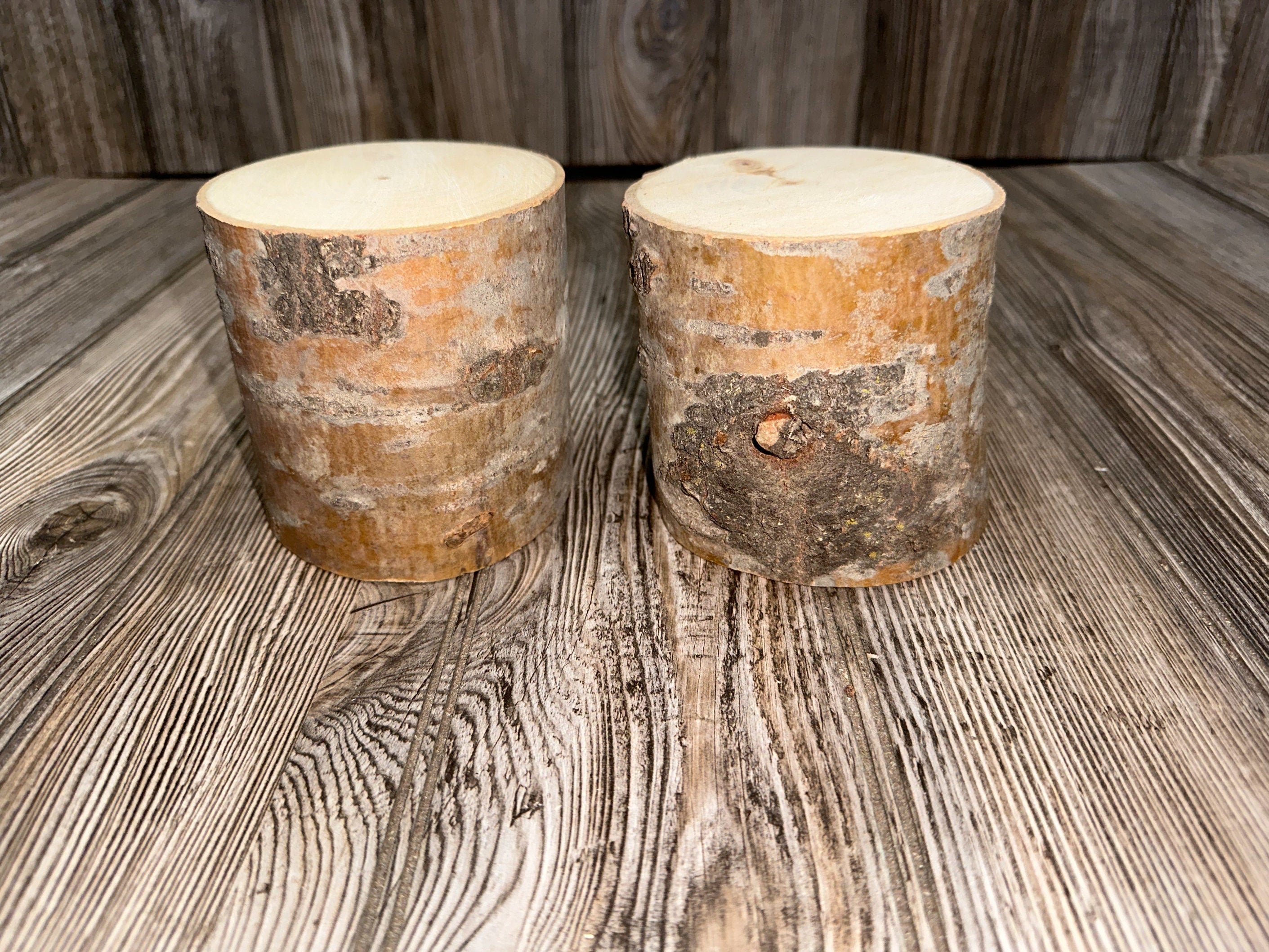 Aspen Logs, 4 Inches Long, 4 Inches Diameter, 2 Count