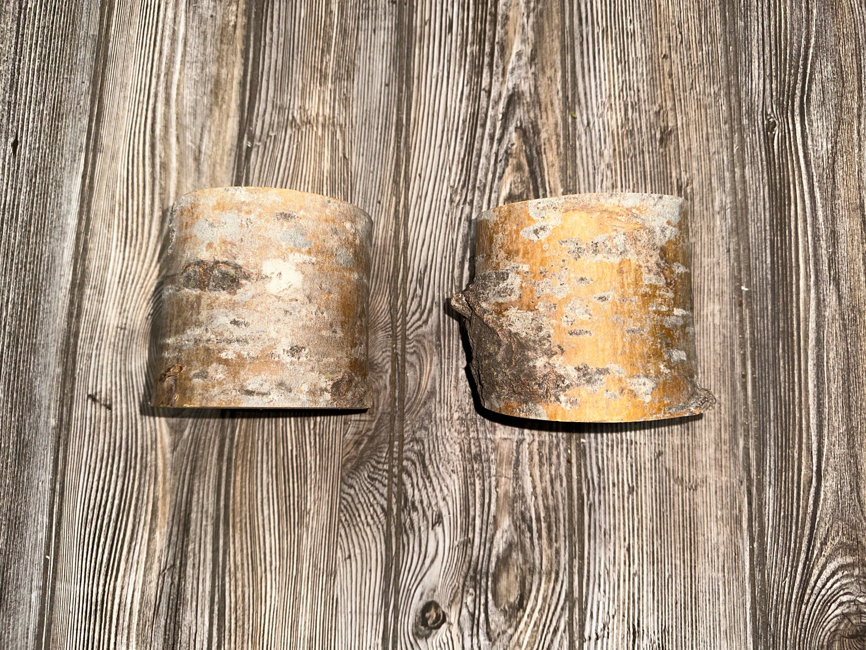 Aspen Logs, 4 Inches Long, 4 Inches Diameter, 2 Count