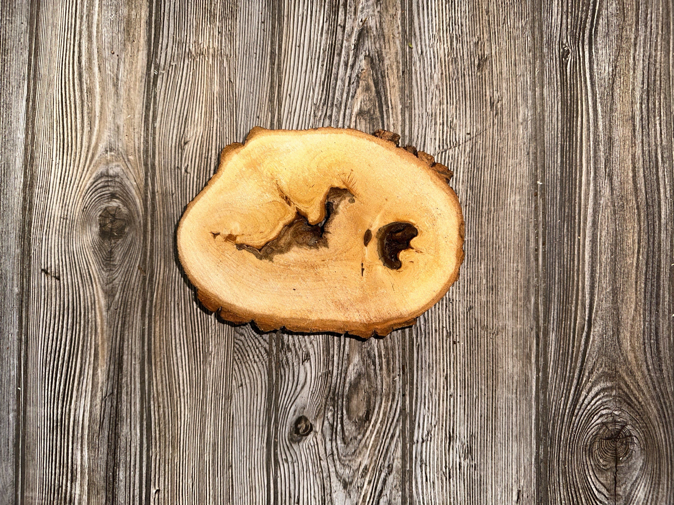 One Aspen Slice, Approximately 7 Inches Long by 5.5 Inches Wide and 2 Inches Thick