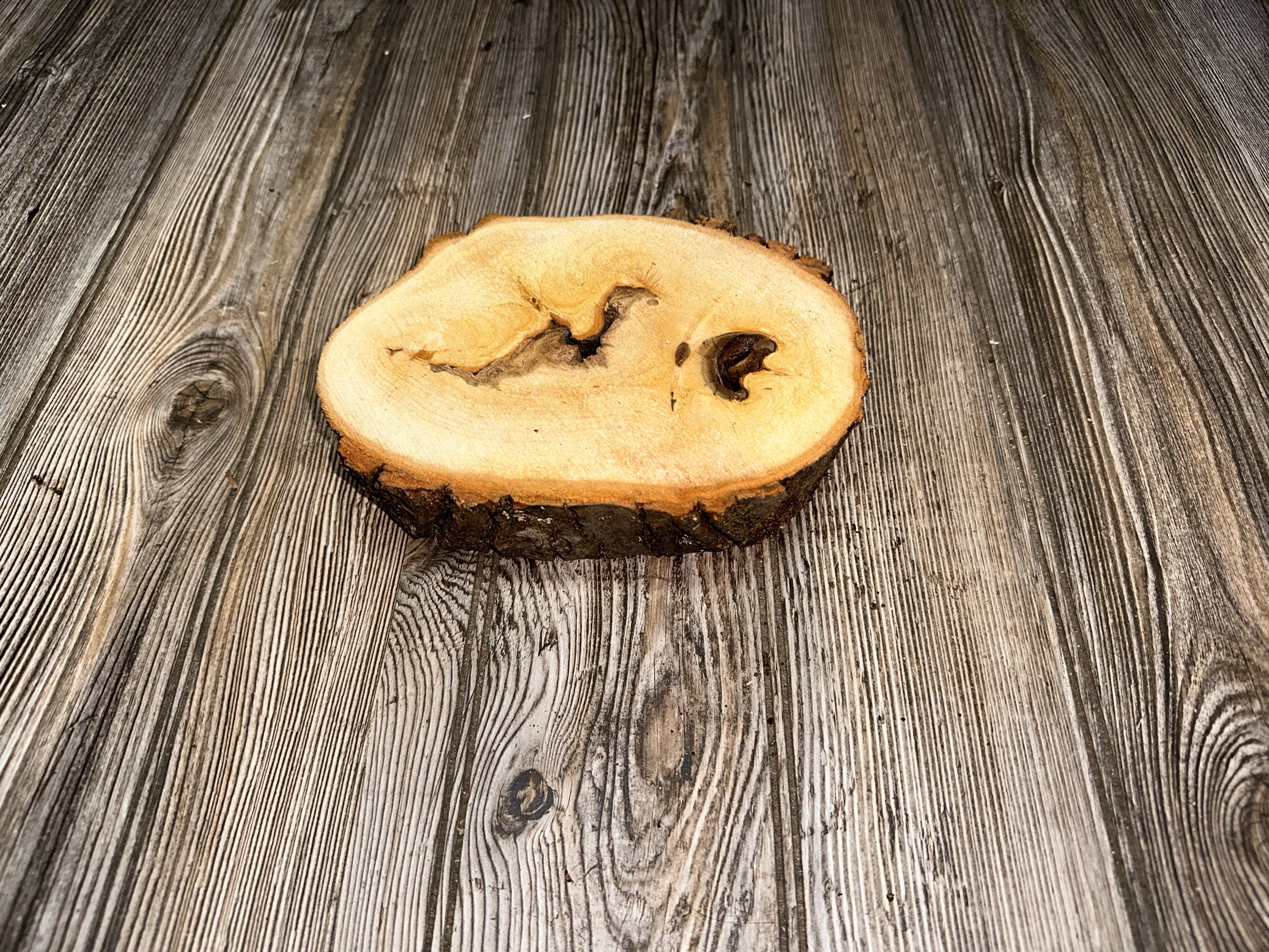 Aspen Slice, Tree Slice, Approximately 7 Inches Long by 5.5 Inches Wide and 2 Inches Thick