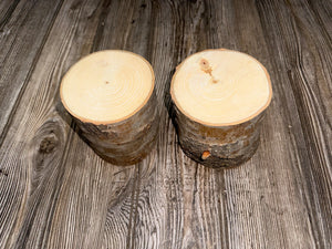 Aspen Logs, 4 Inches Long, 4 Inches Diameter, 2 Count