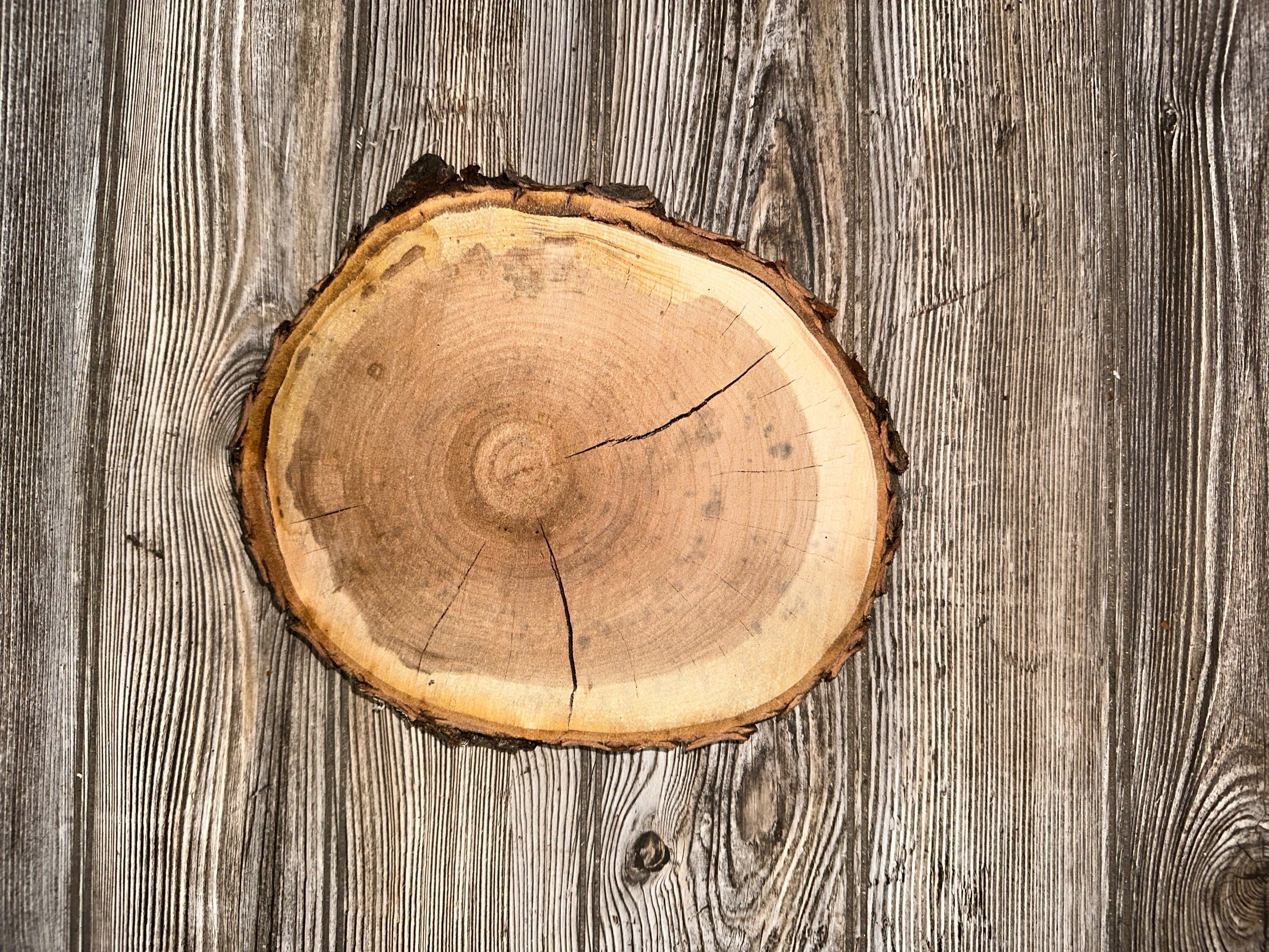 Cherry Burl Slice, Approximately 10 Inches Long by 9 Inches Wide and 1 Inch Thick