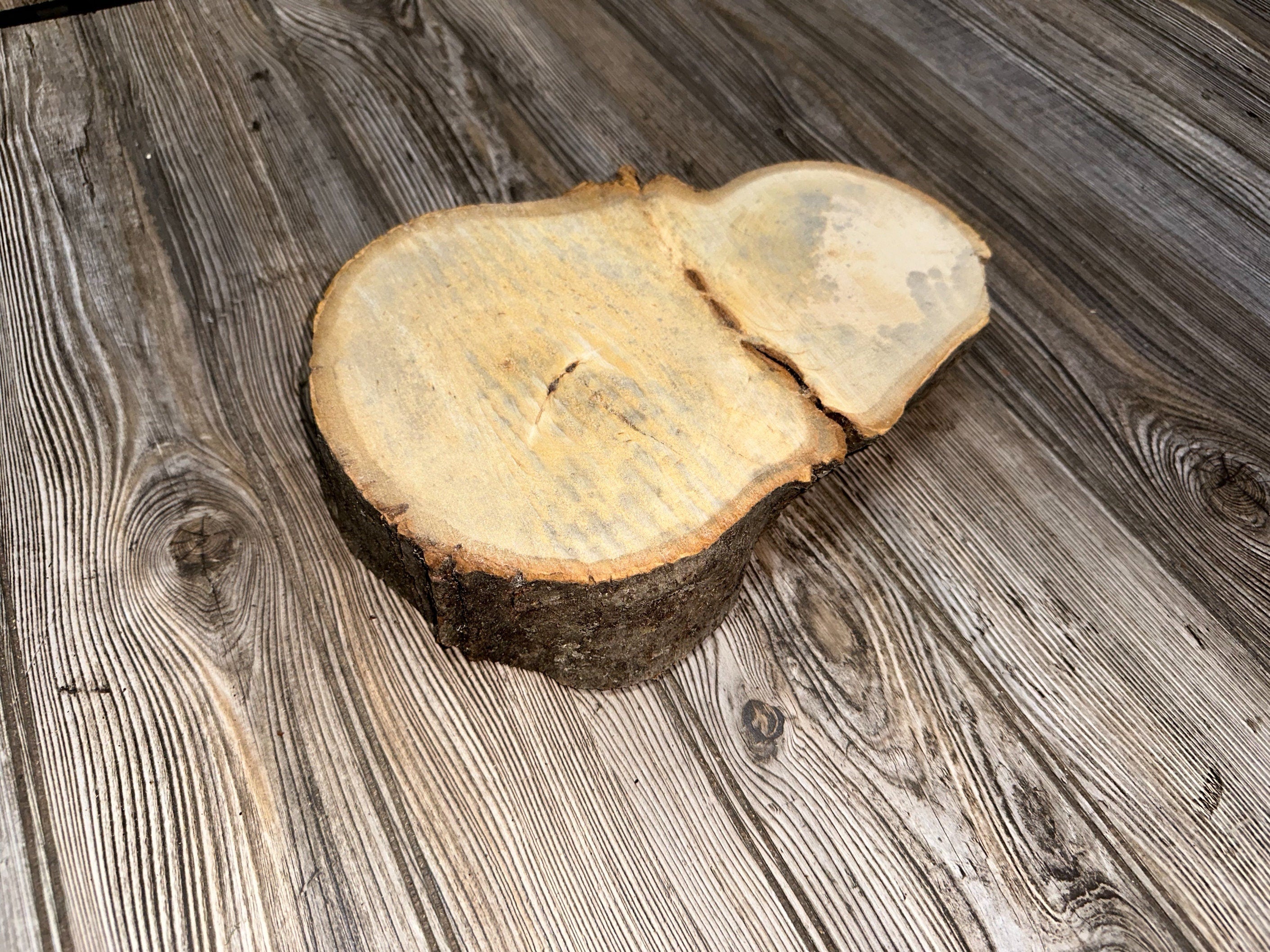 Basswood Slice, 1 Count, About 11.5 Inches Long by 8 Inches Wide and 2 Inches Tall