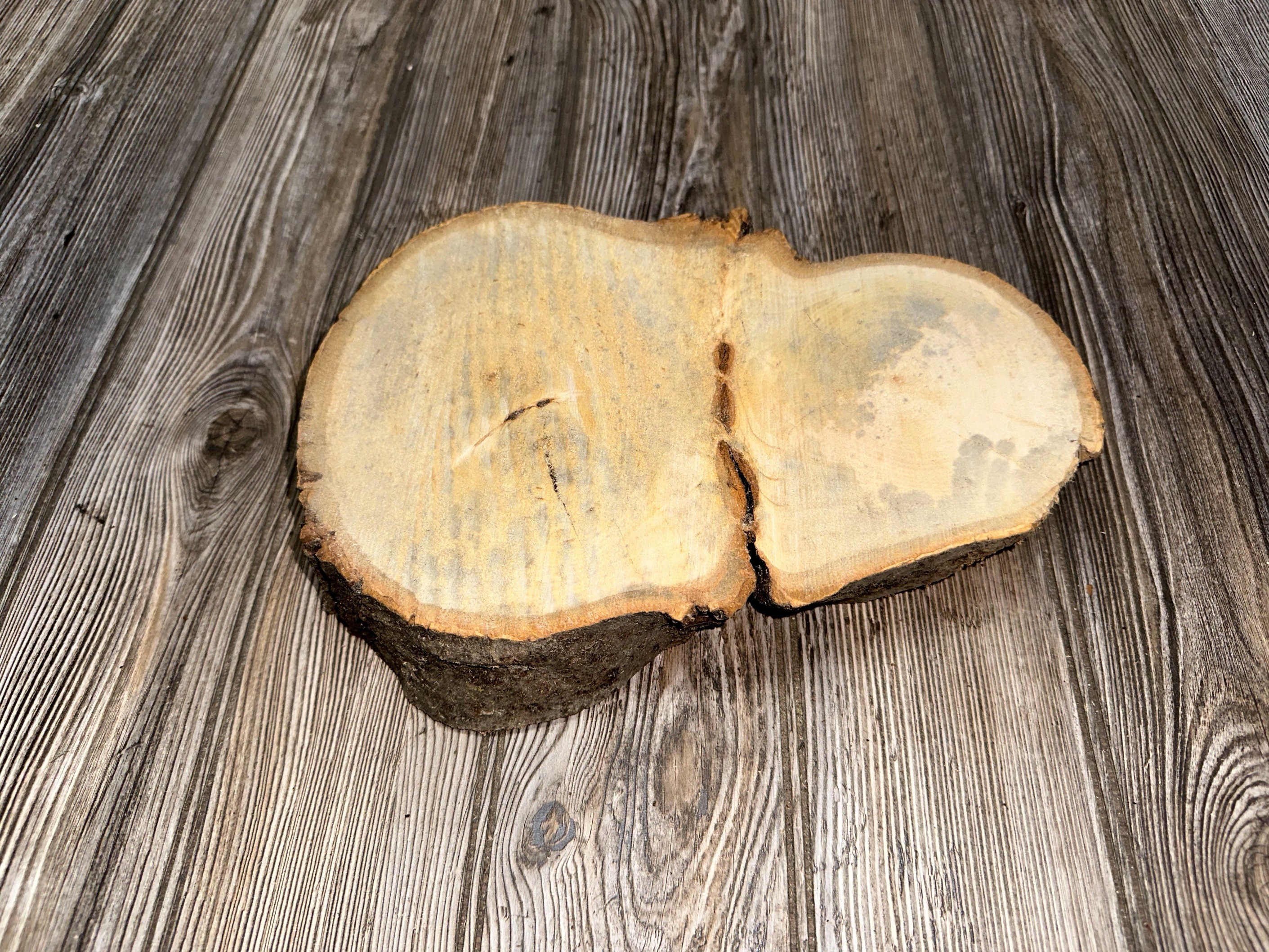 Basswood Slice, 1 Count, About 11.5 Inches Long by 8 Inches Wide and 2 Inches Tall