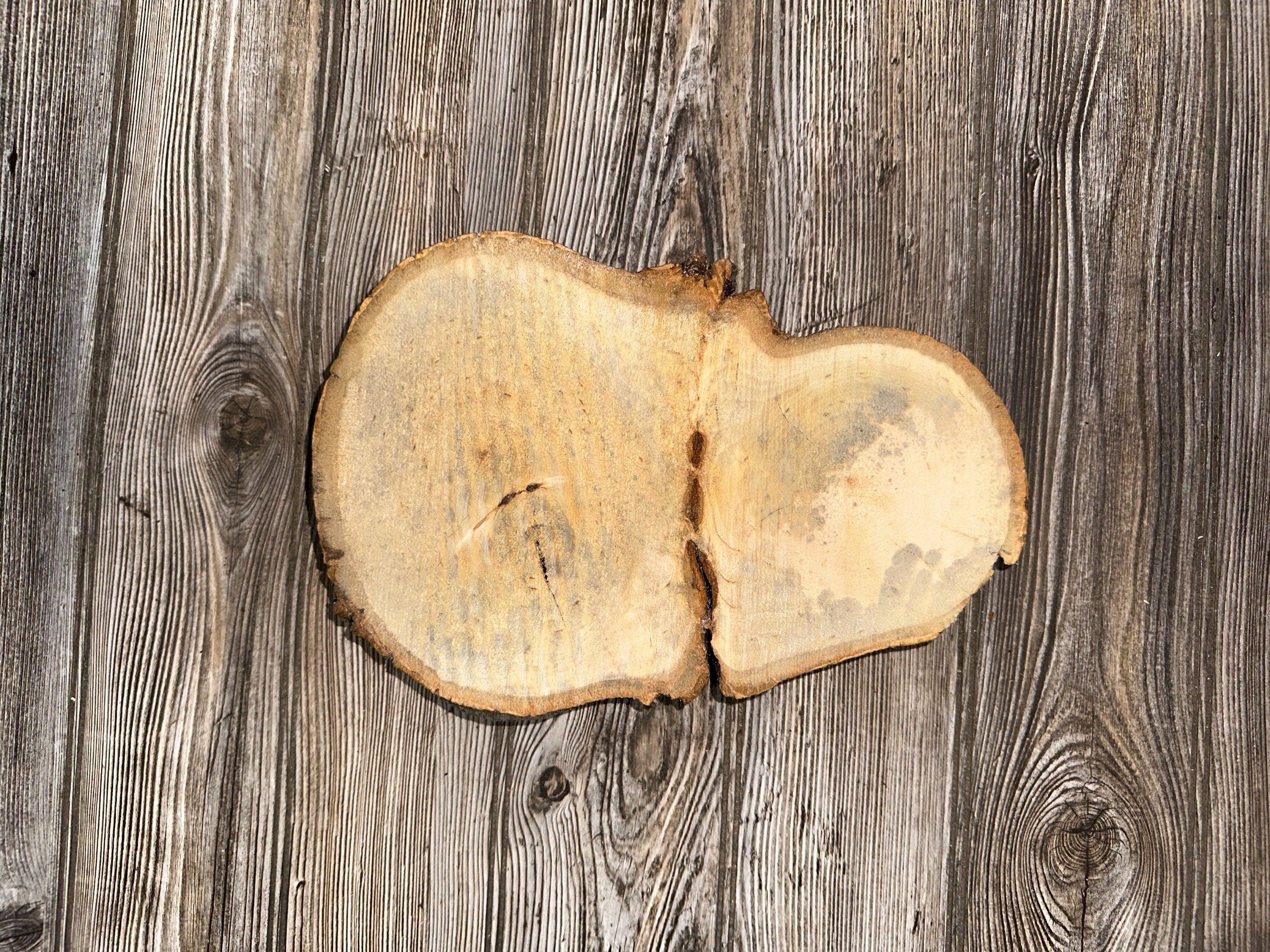 Basswood Slice, 1 Count, About 11.5 Inches Long by 8 Inches Wide and 2 Inches Tall