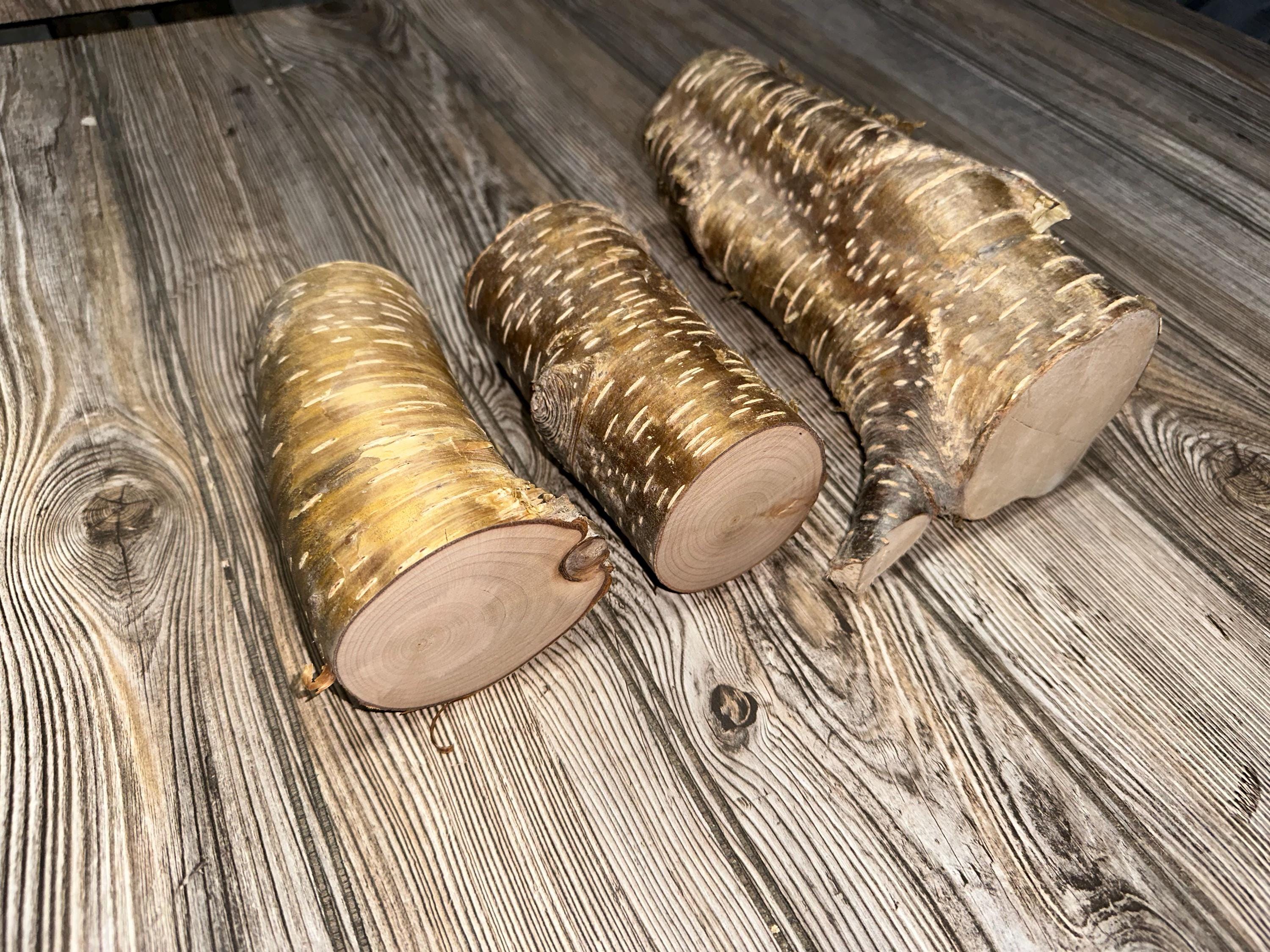 Yellow Birch Logs, 3 Golden Brown Pieces, Approximately 5.5-8.75 Inch x 2.5-5.5 Inches Diameter