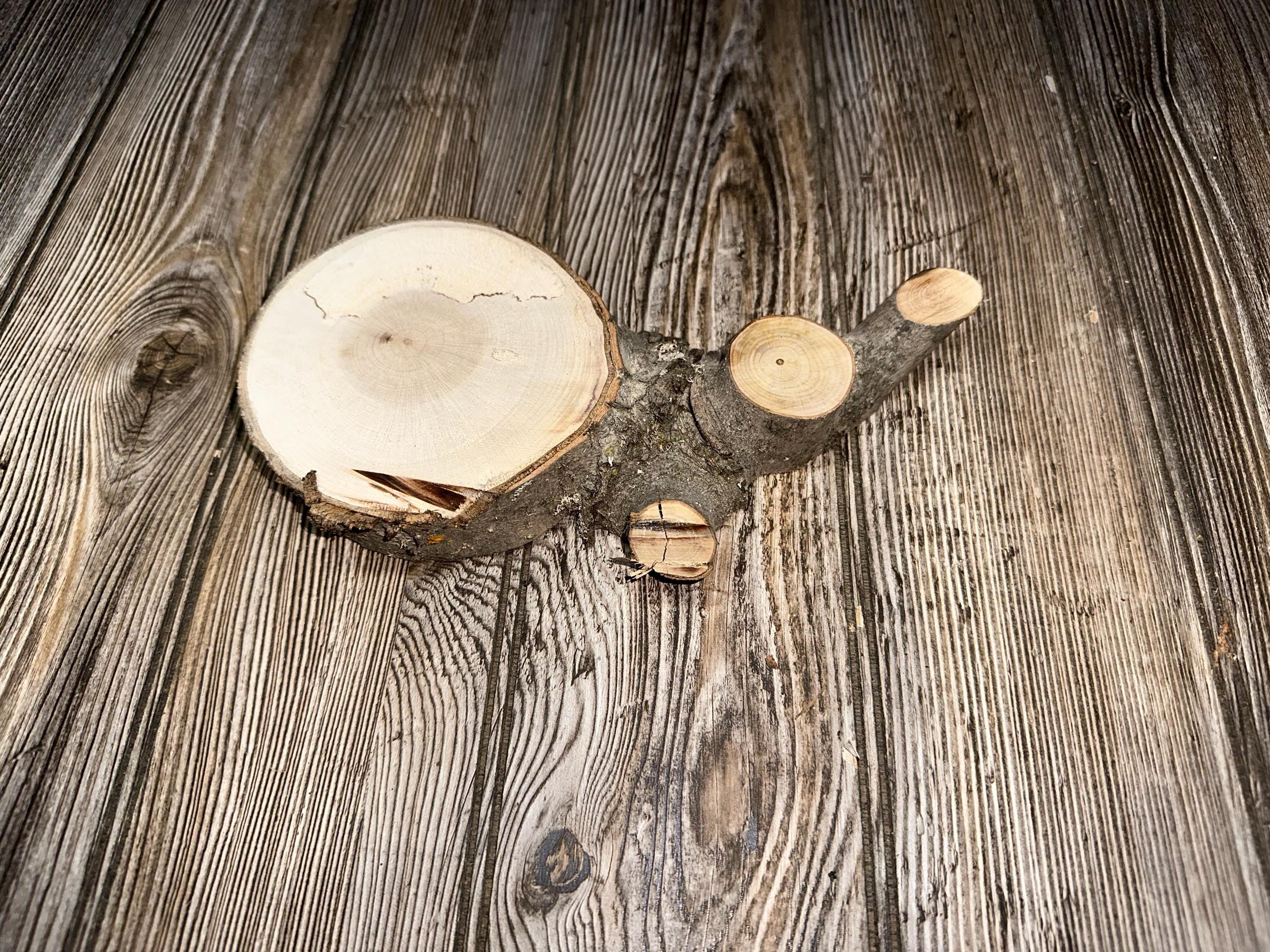 Unique Maple Slice, 1 Count, Approximately 9 Inches Long by 4.5 Inches Wide and 1 Inch Thick