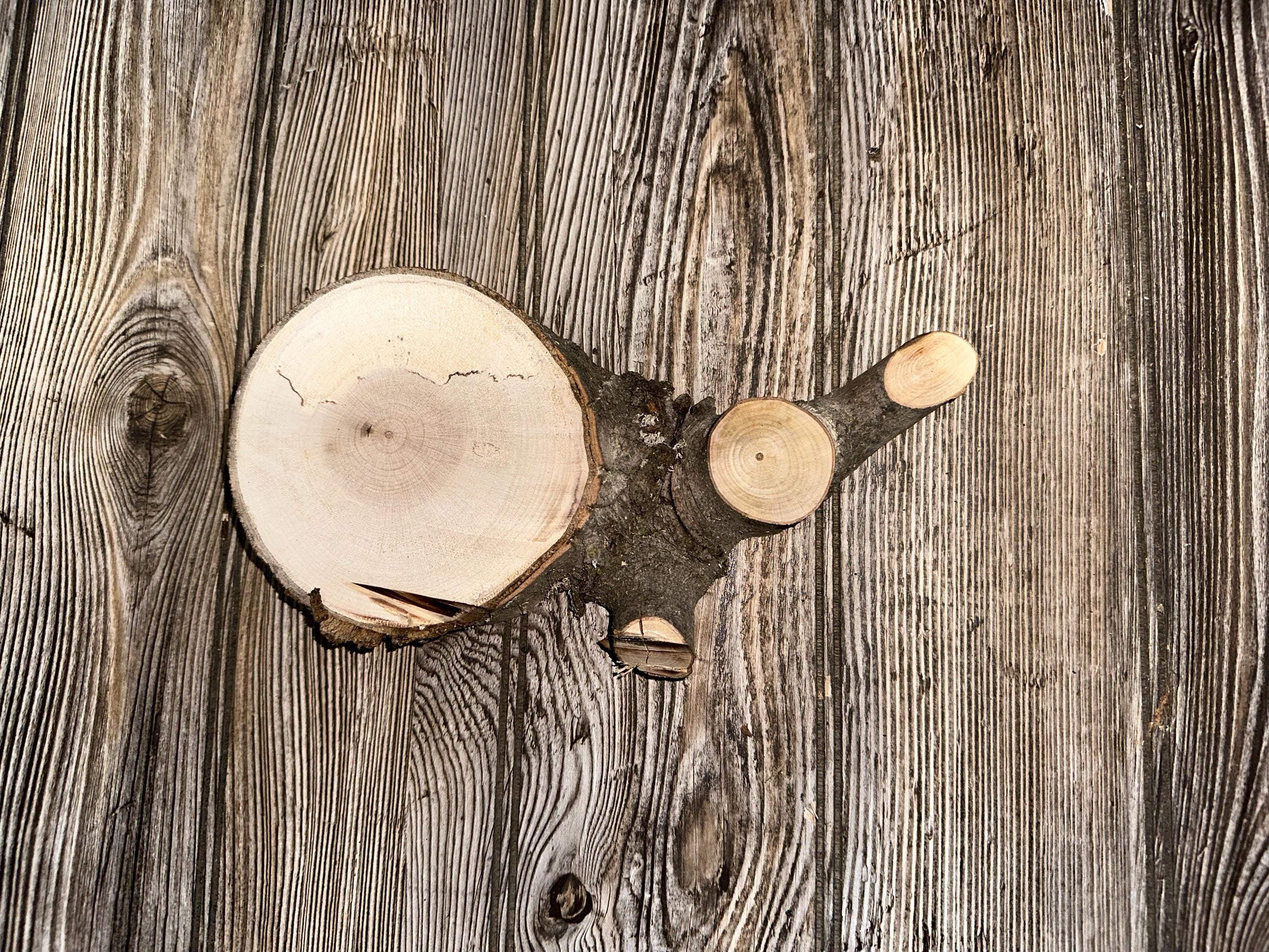 Unique Maple Slice, 1 Count, Approximately 9 Inches Long by 4.5 Inches Wide and 1 Inch Thick