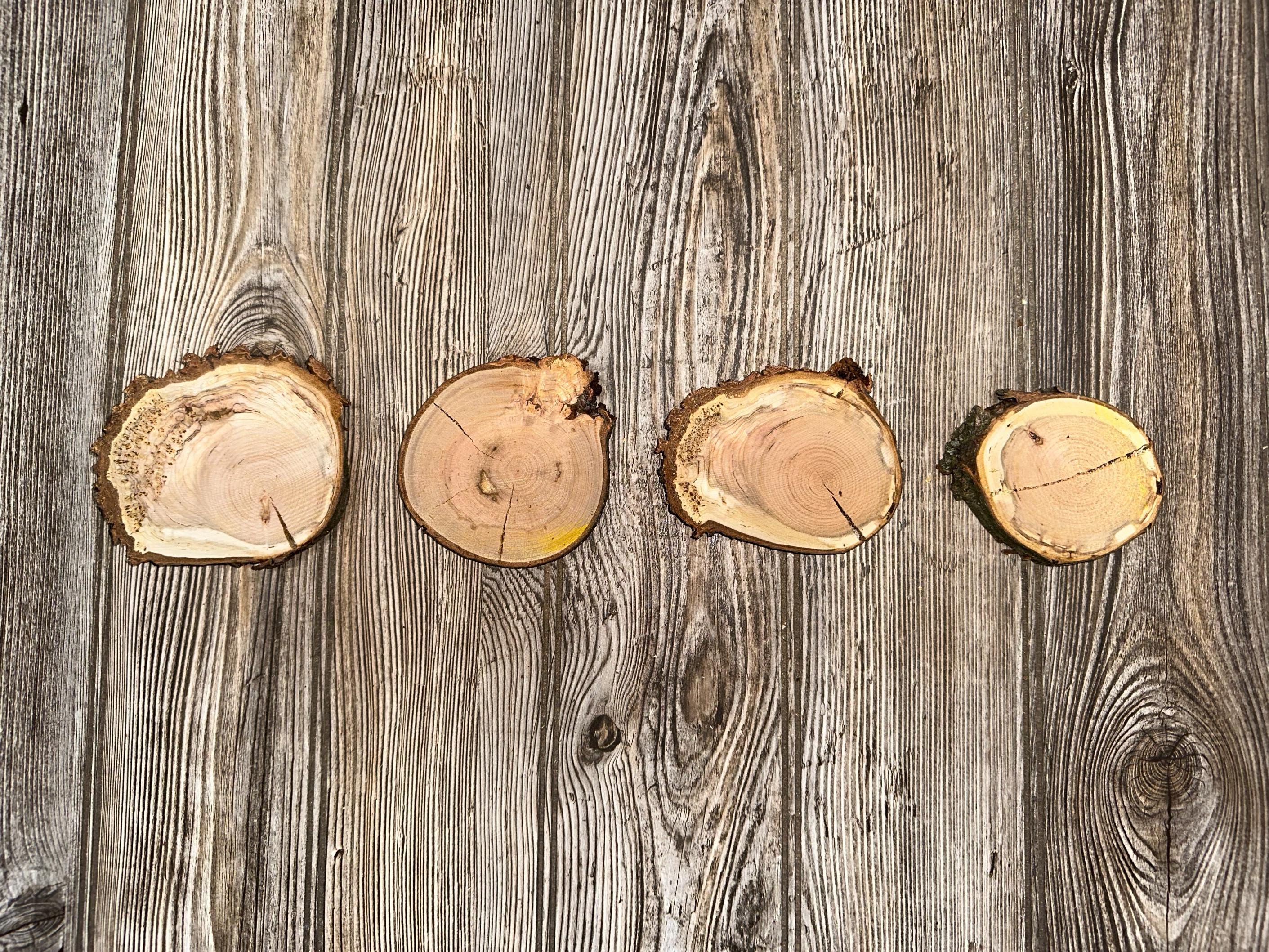 Four Cherry Burl Slices, Approximately 3.5-4.5 Inches Long by 2.75-3.75 Inches Wide and 1/3 to 1/2 Inch Thick