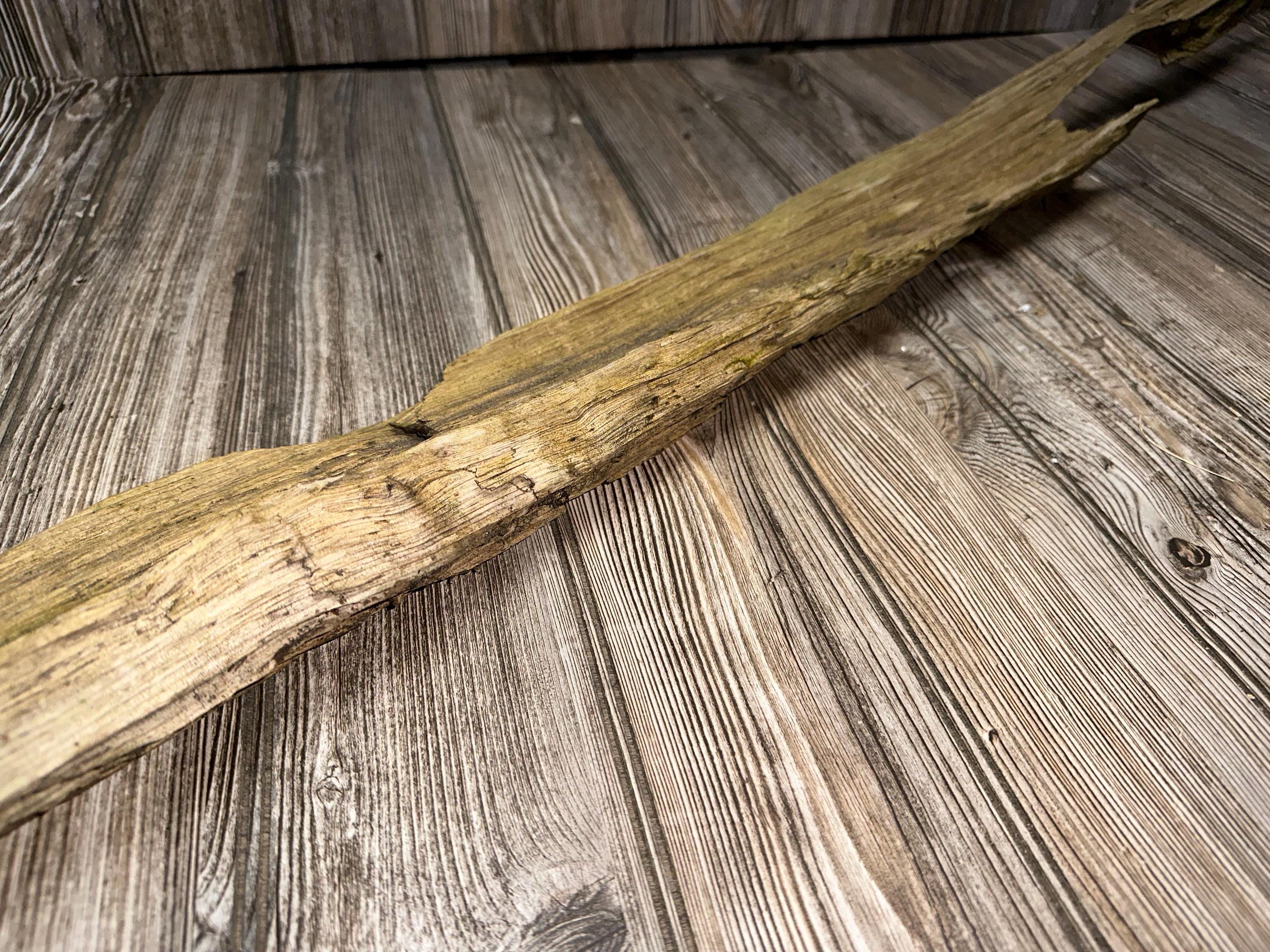 Tree Limb, Branch End, Driftwood, Approximately 45 Inches Long by 5 Inches Wide and 2 Inches Tall