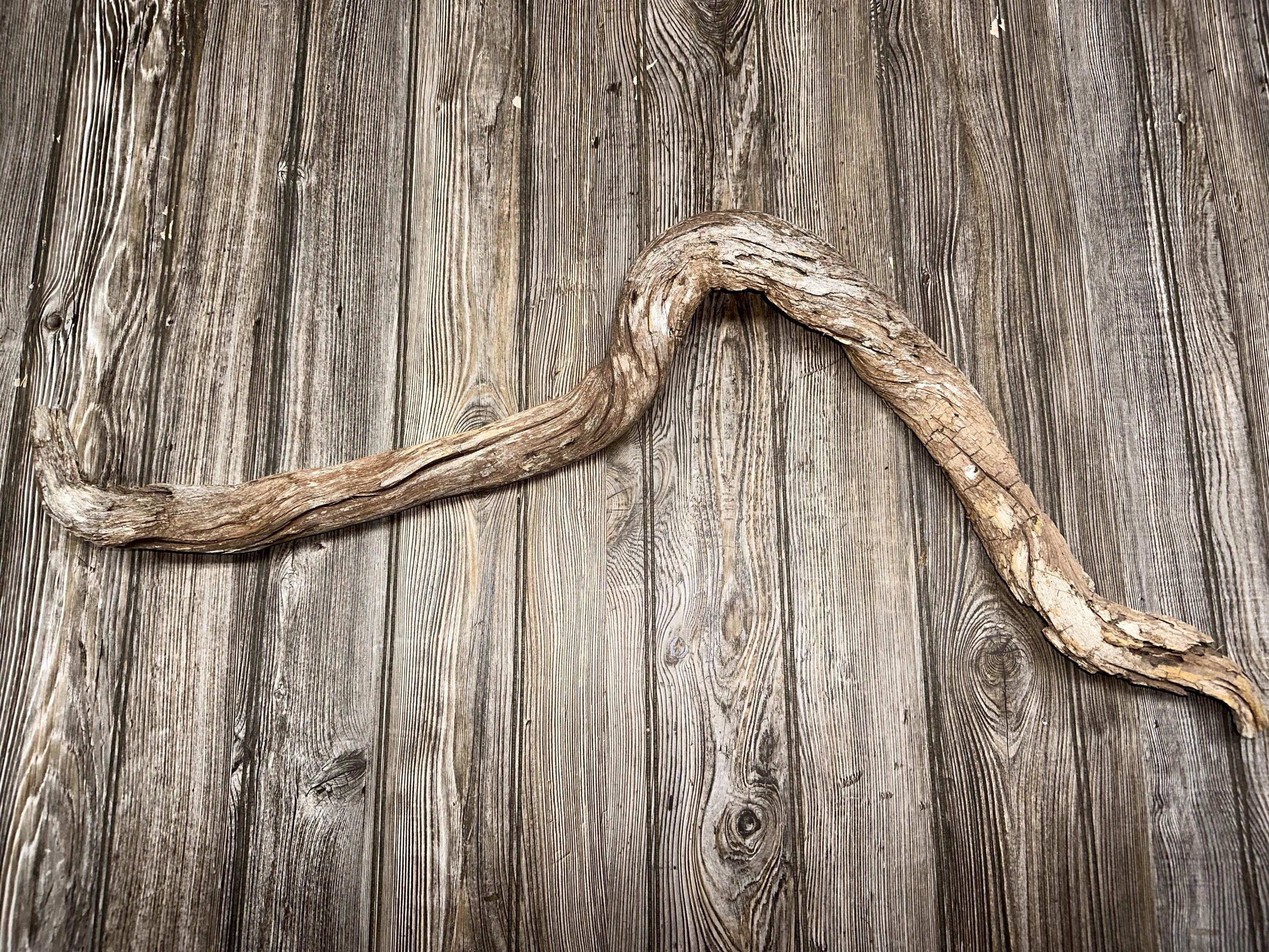Curved Tree Limb, Branch End, Driftwood, Approximately 34 Inches Long by 2 Inches Wide and 2 Inches Tall