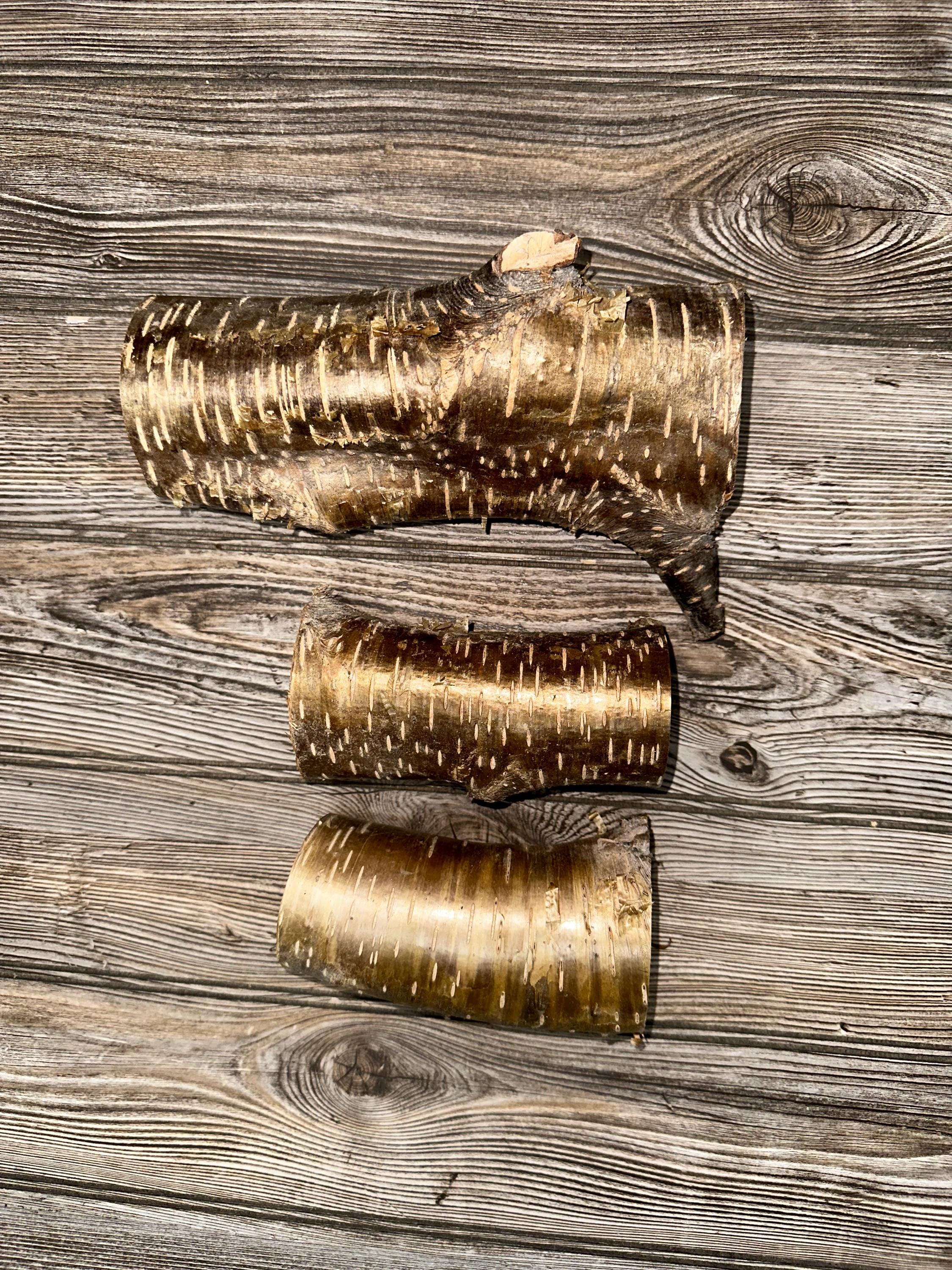 Yellow Birch Logs, 3 Golden Brown Pieces, Approximately 5.5-8.75 Inch x 2.5-5.5 Inches Diameter