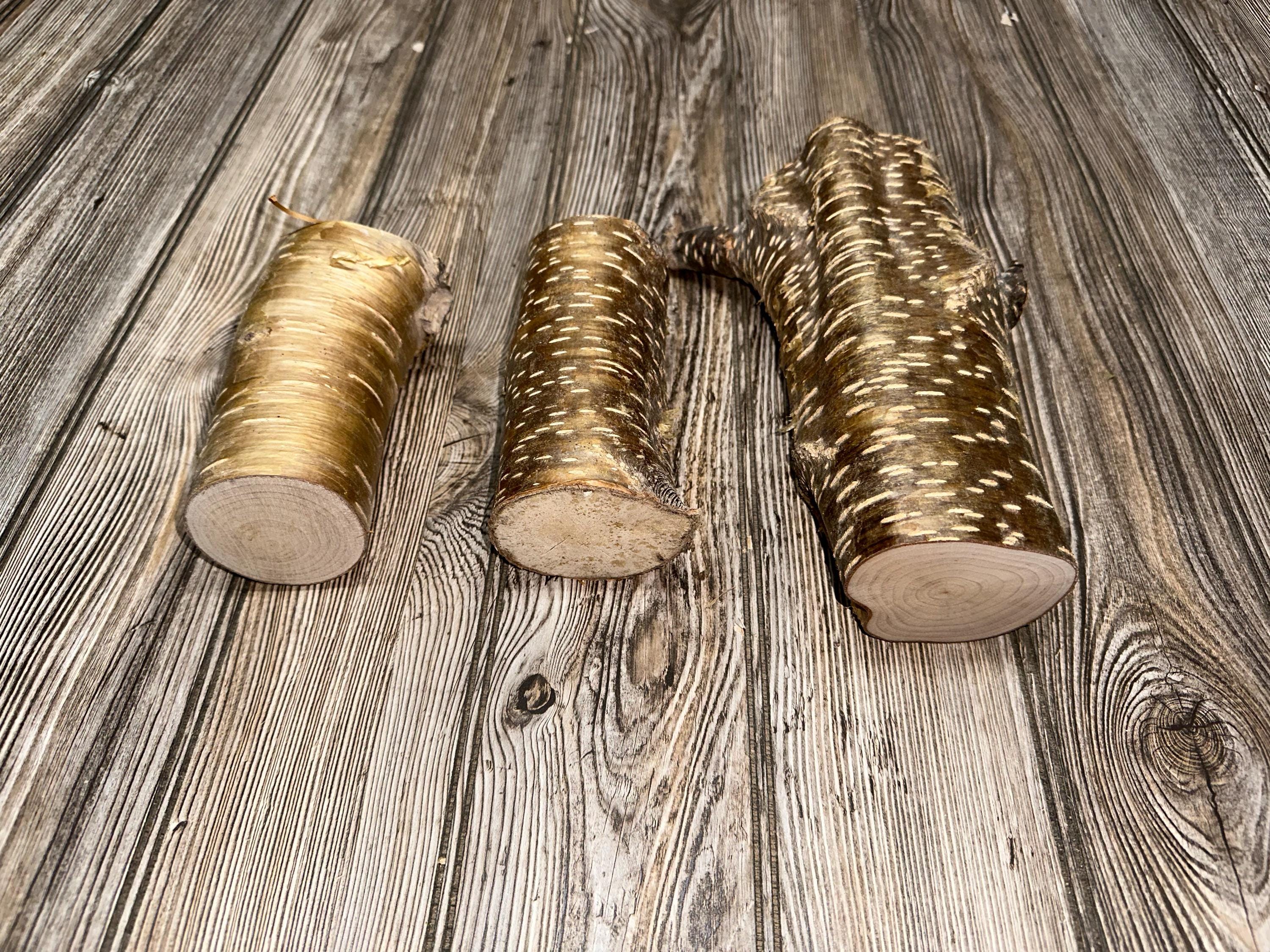 Yellow Birch Logs, 3 Golden Brown Pieces, Approximately 5.5-8.75 Inch x 2.5-5.5 Inches Diameter