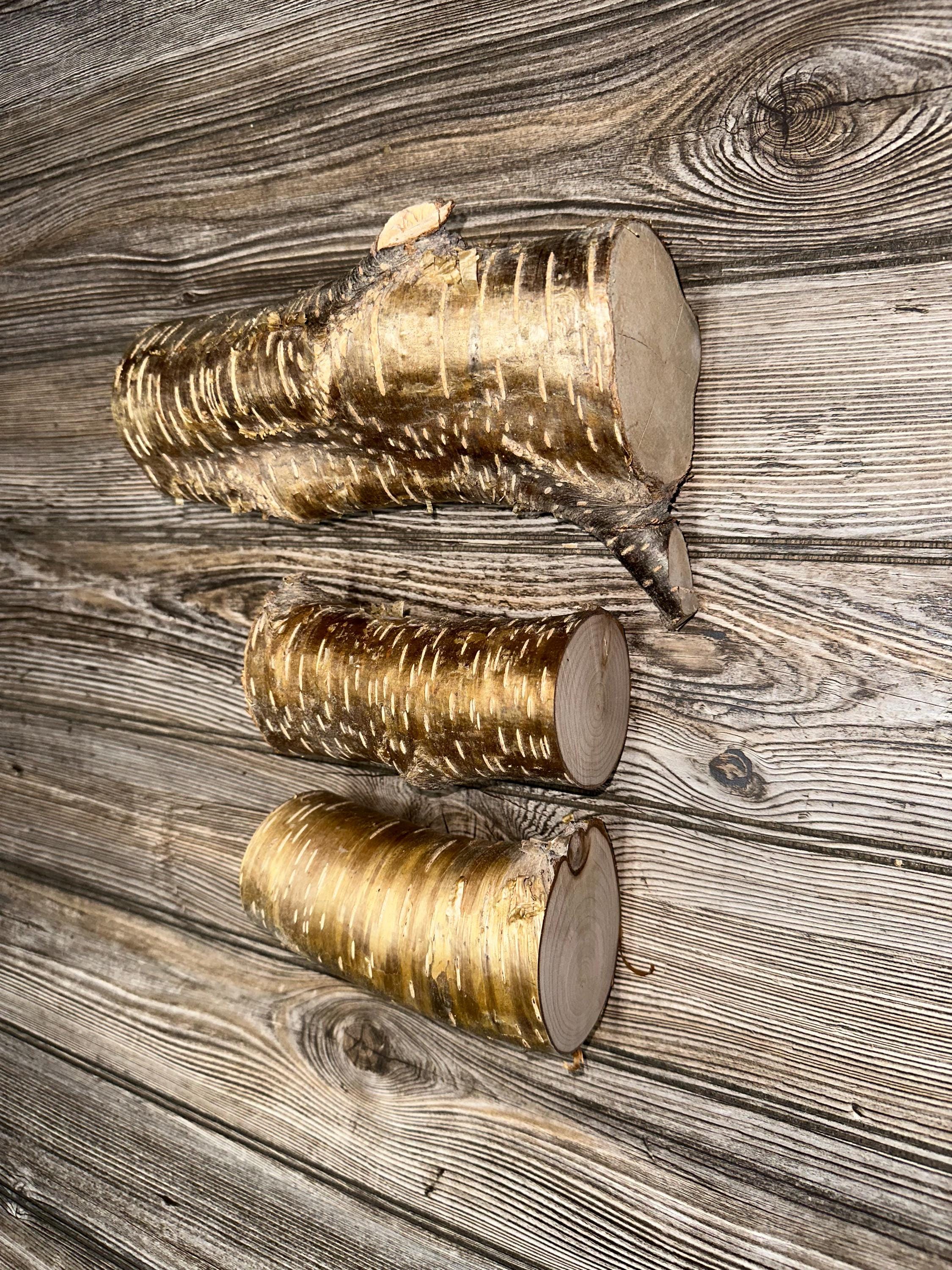 Yellow Birch Logs, 3 Golden Brown Pieces, Approximately 5.5-8.75 Inch x 2.5-5.5 Inches Diameter