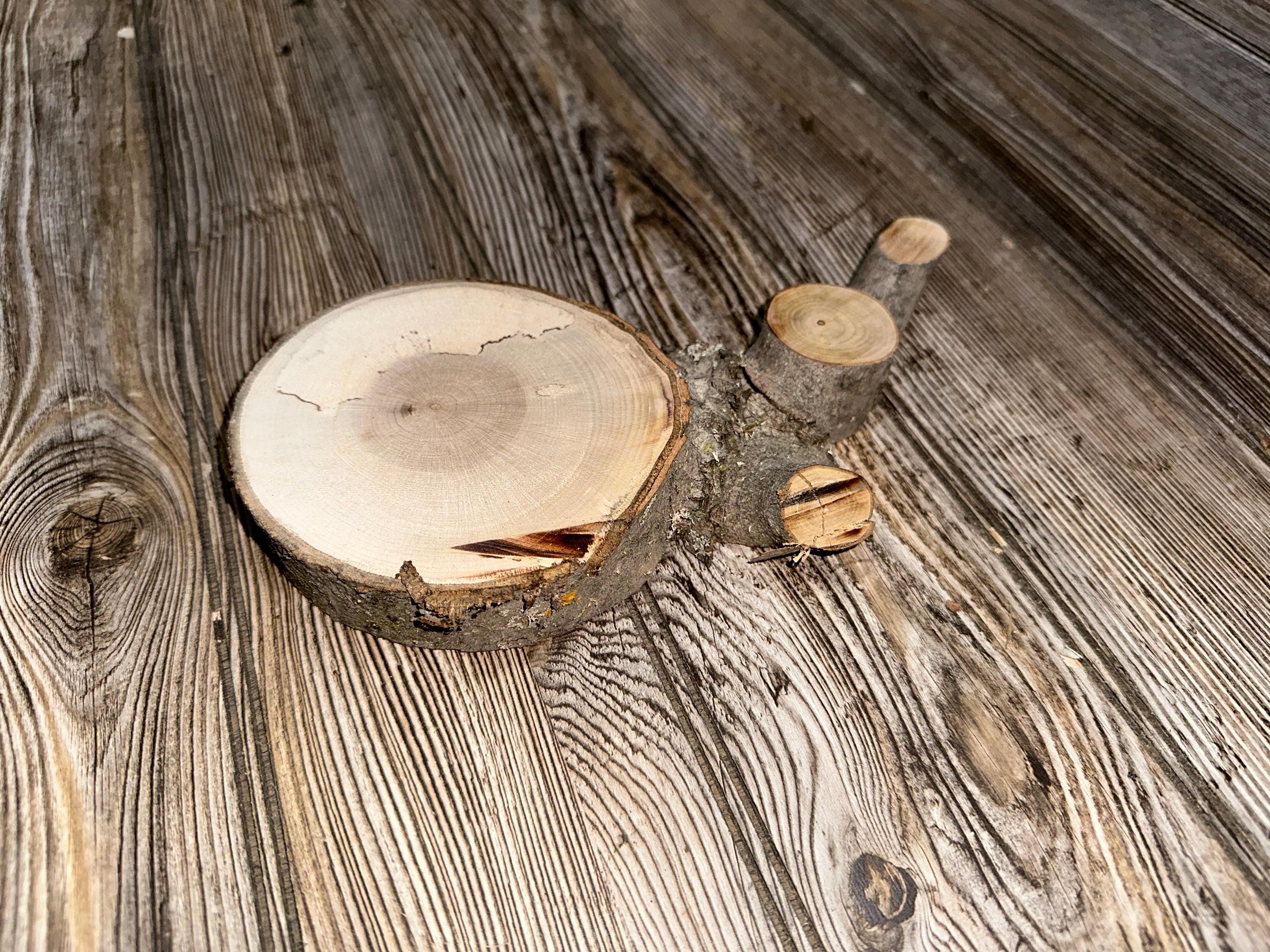 Unique Maple Slice, 1 Count, Approximately 9 Inches Long by 4.5 Inches Wide and 1 Inch Thick